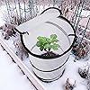 Product Photo 6