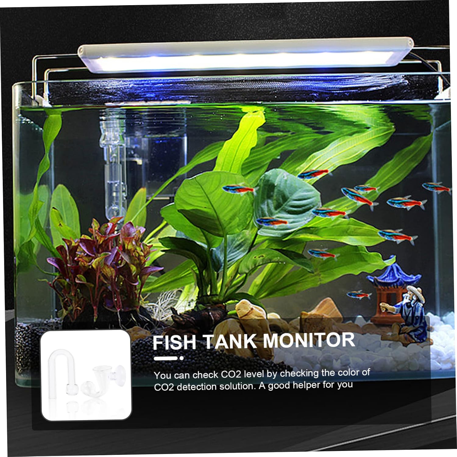 FRCOLOR 6pcs Monitor for Fish Tank Glass Aquarium Carbon Dioxide Tester Round Cup for Accurate Level Measurement for Aquatic Plants and Fish Health Monitoring