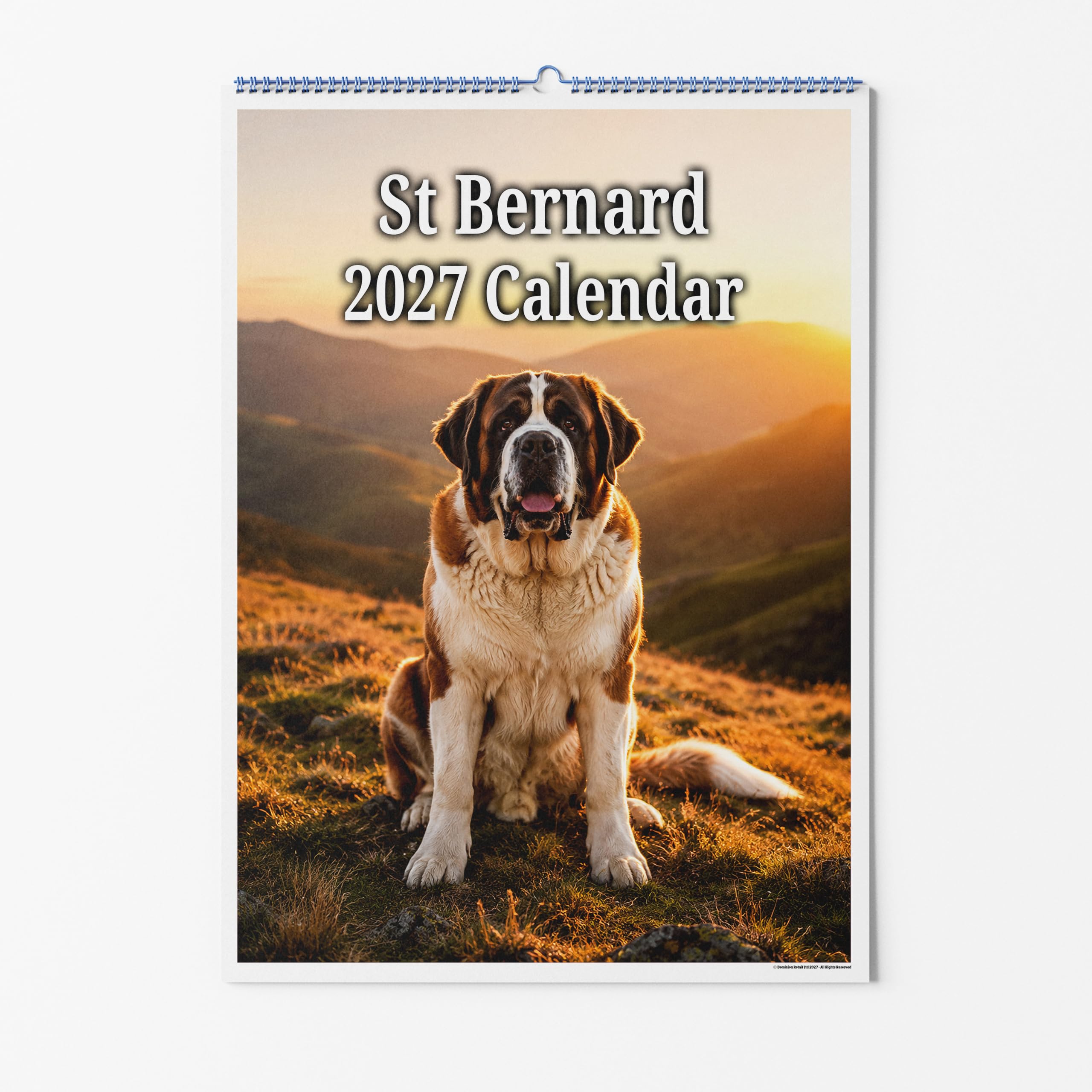 Party People A4 Wall Calendar - St Bernard Dog 2027 โ image 1