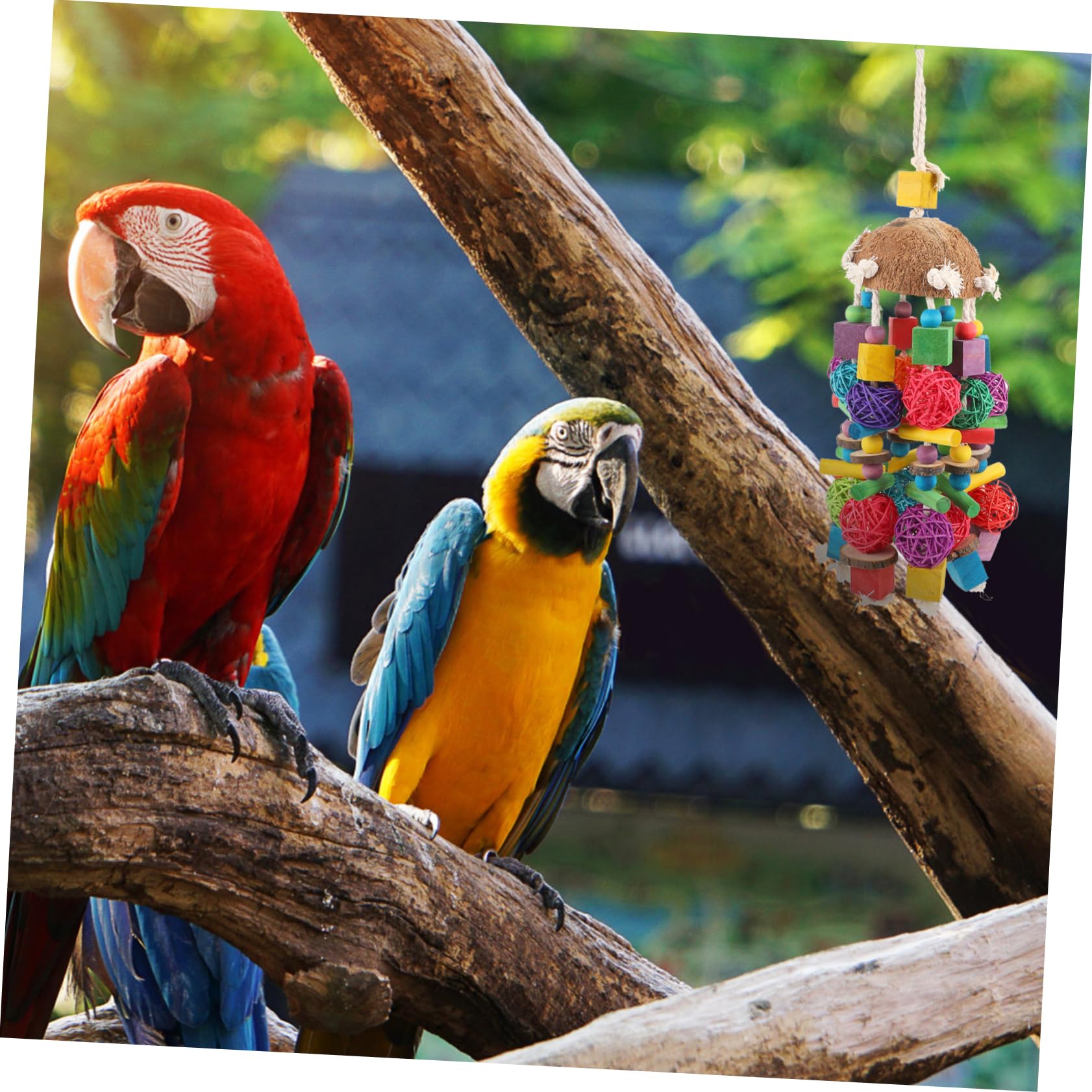 1pièces Jouet à Mordre pour Perroquet Coque De avec Vigne Accessoires Amusants pour Oiseaux à Suspendre