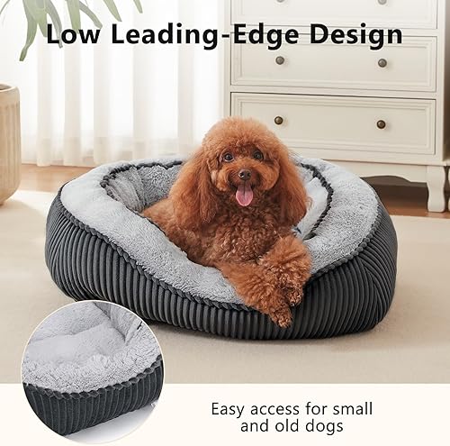 Miniatura 3 de SIWA MARY Camas para perros y gatos pequeños, medianos y grandes. Cama lavable para mascotas, sofá cama ortopédica para perros, diseño elegante de