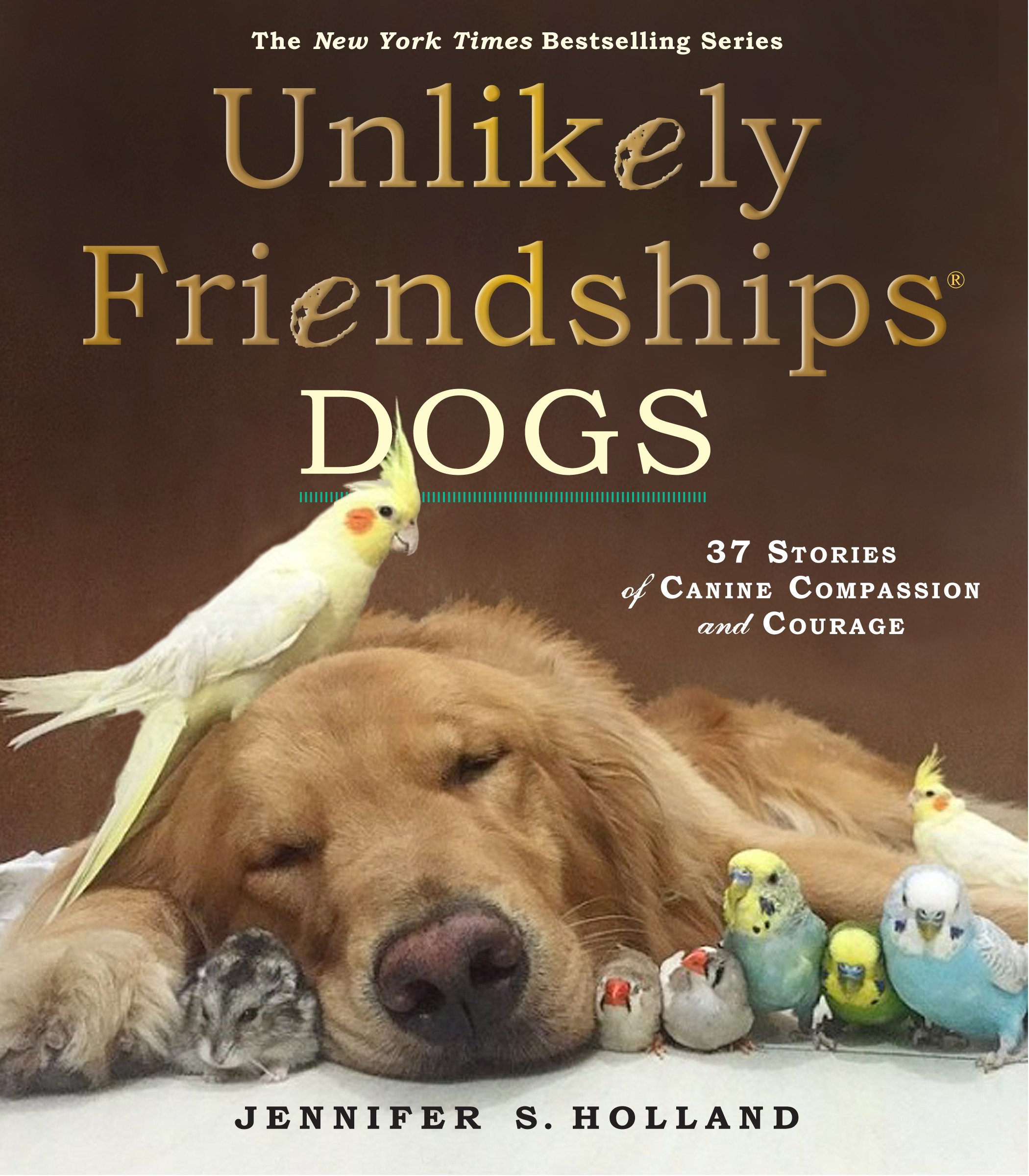 Unlikely Friendships: DOGS,S. Holland