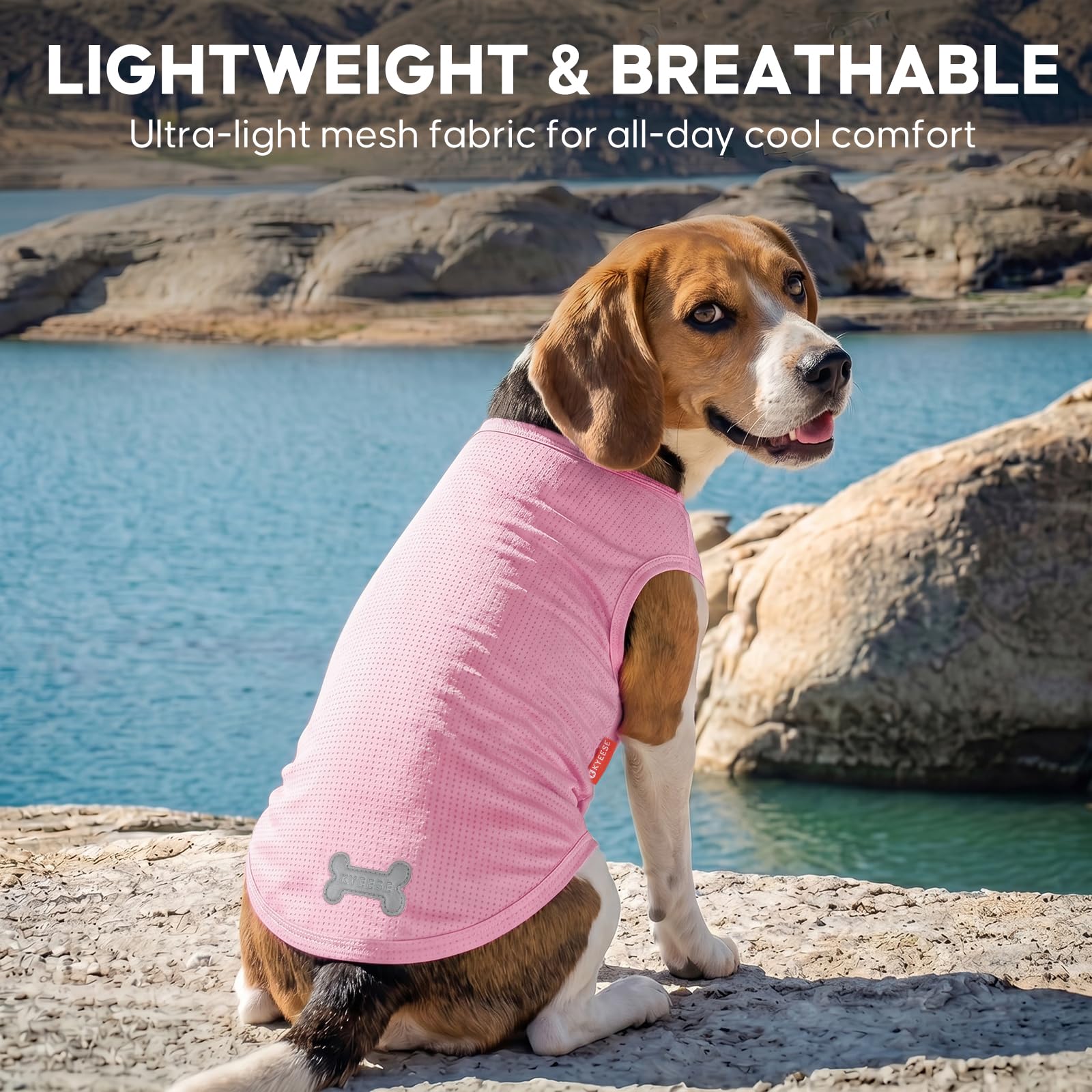 KYEESE Lot de 2 chemises pour chien, légères à séchage rapide avec étiquette réfléchissante, sans manches, motif citron, idéal pour la protection solaire d'été, taille M, citron + rose
