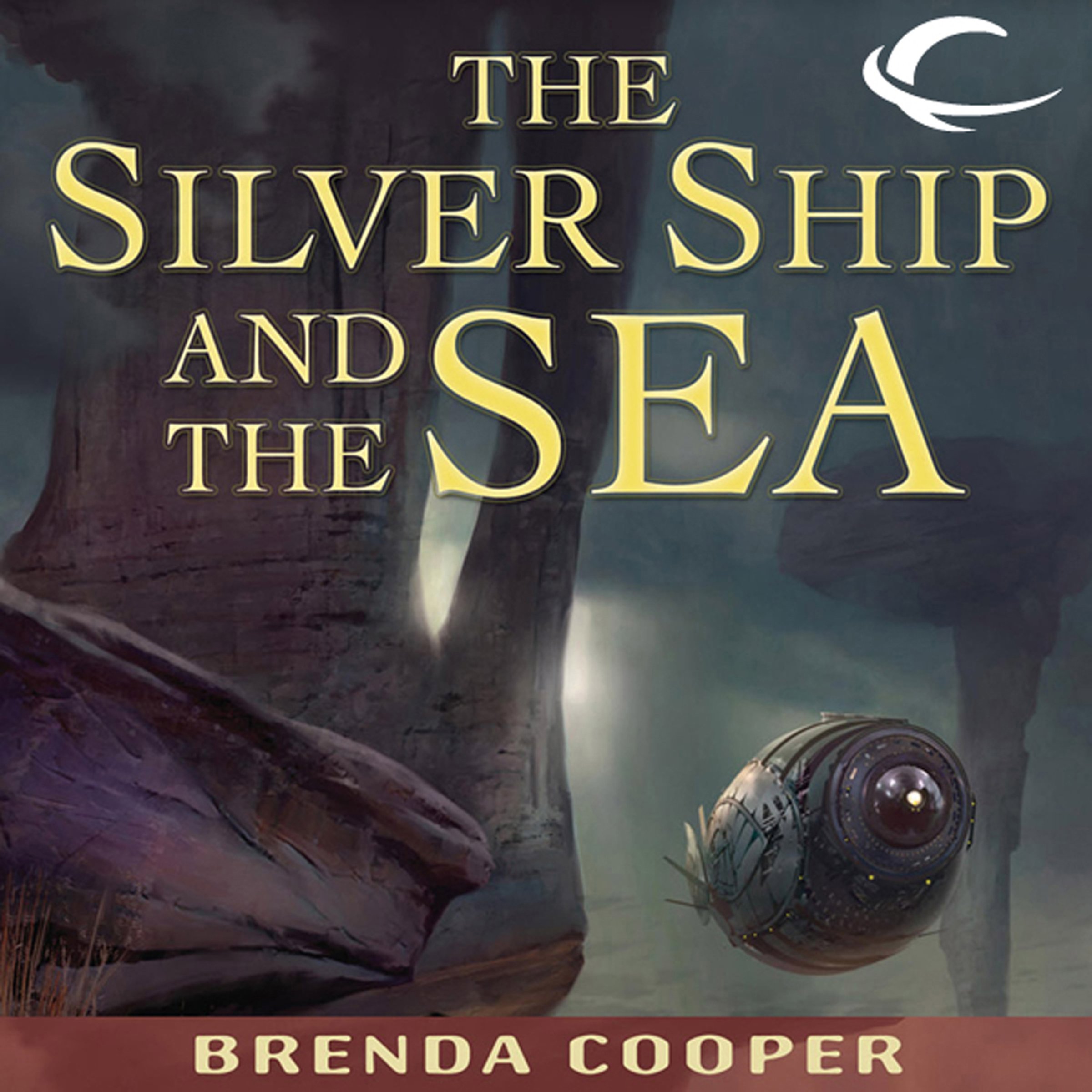 Cover art for The Silver Ship and the Sea
