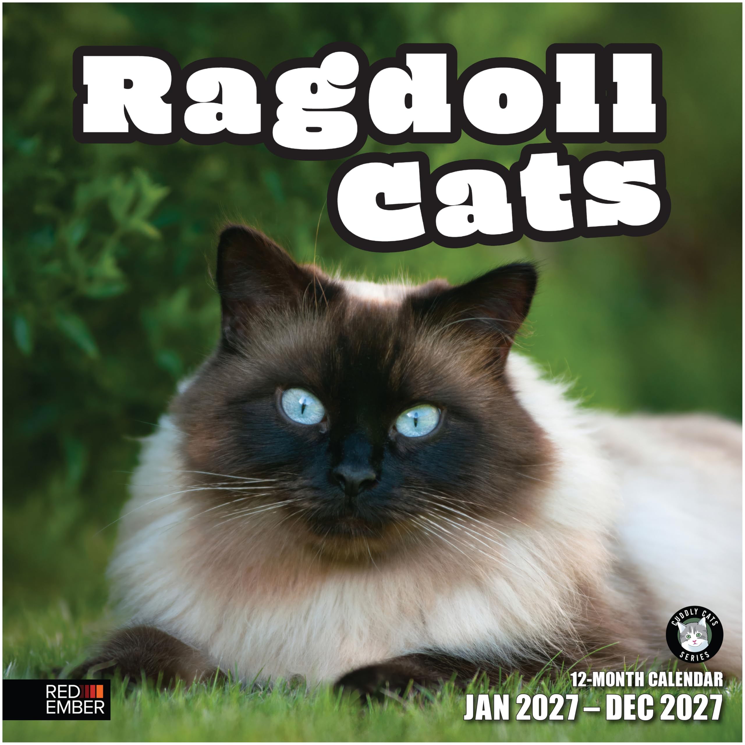 RED EMBER Ragdoll Cats 2027 Wall Calendar 12 Month | 12" x 24" Open