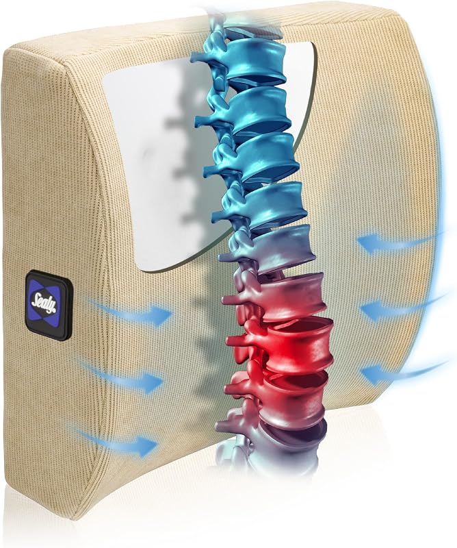 Orthopedic Back Pillow for Chair, Pillow for Lumbar Support, Lower Back Pain Relief, Memory Foam Lumbar Cushion