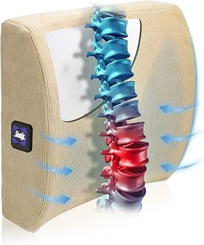 Sealy Orthopedic Back Pillow for Chair, Pillow for Lumbar Support, Lower Back Pain Relief, Memory Foam Lumbar Cushion