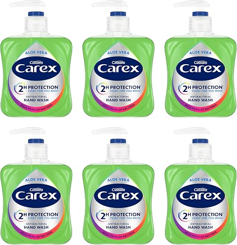 Carex 2 Hour Protection Antibacterial Aloe Vera Hand Wash, Added Natural Moisturisers, Gentle & Protects Hands, Bulk Buy, Pack of 6 x 250ml