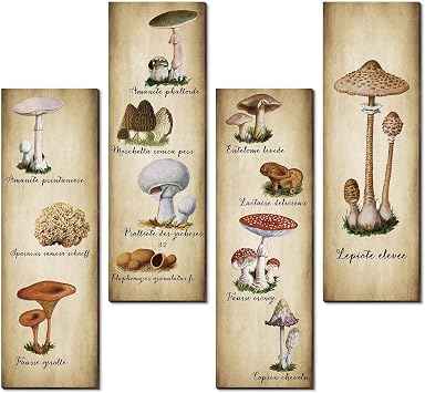 Yookeer 4 Pcs Vintage Mushroom Wall Decor Mushrooms Art Wooden Sign Rustic Mushroom Kitchen Decor Fungus Aesthetic Poster for Bedroom Dining Room Living Room Office11 x 3.5 Inch