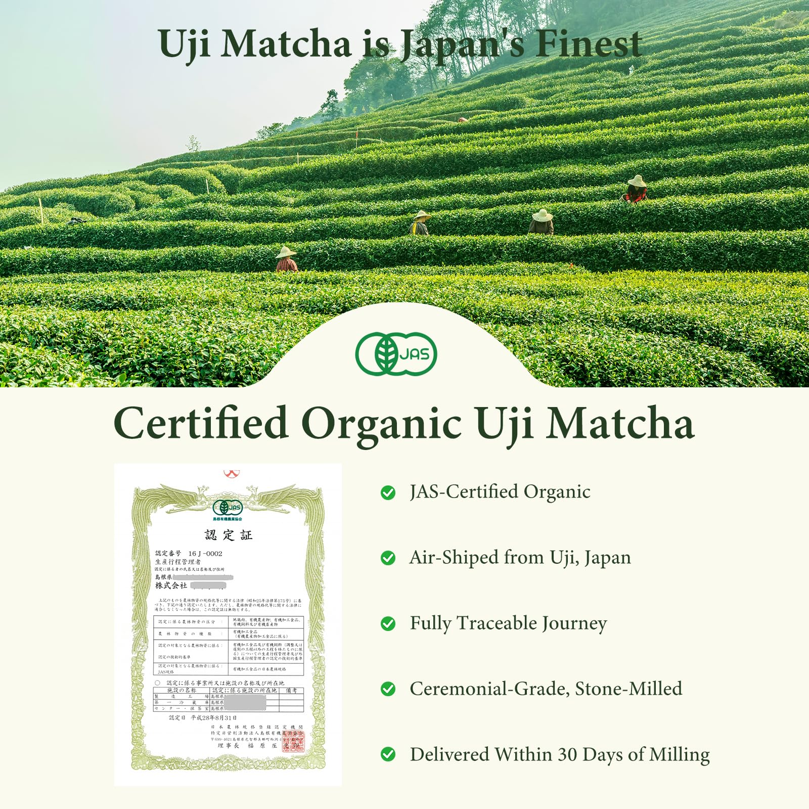 UJITYA Ceremonial Grade Matcha Powder AA 1 06oz Tin Japanese JAS Certified Organic Antioxidant Rich with Caffeine L-Theanine — view 4
