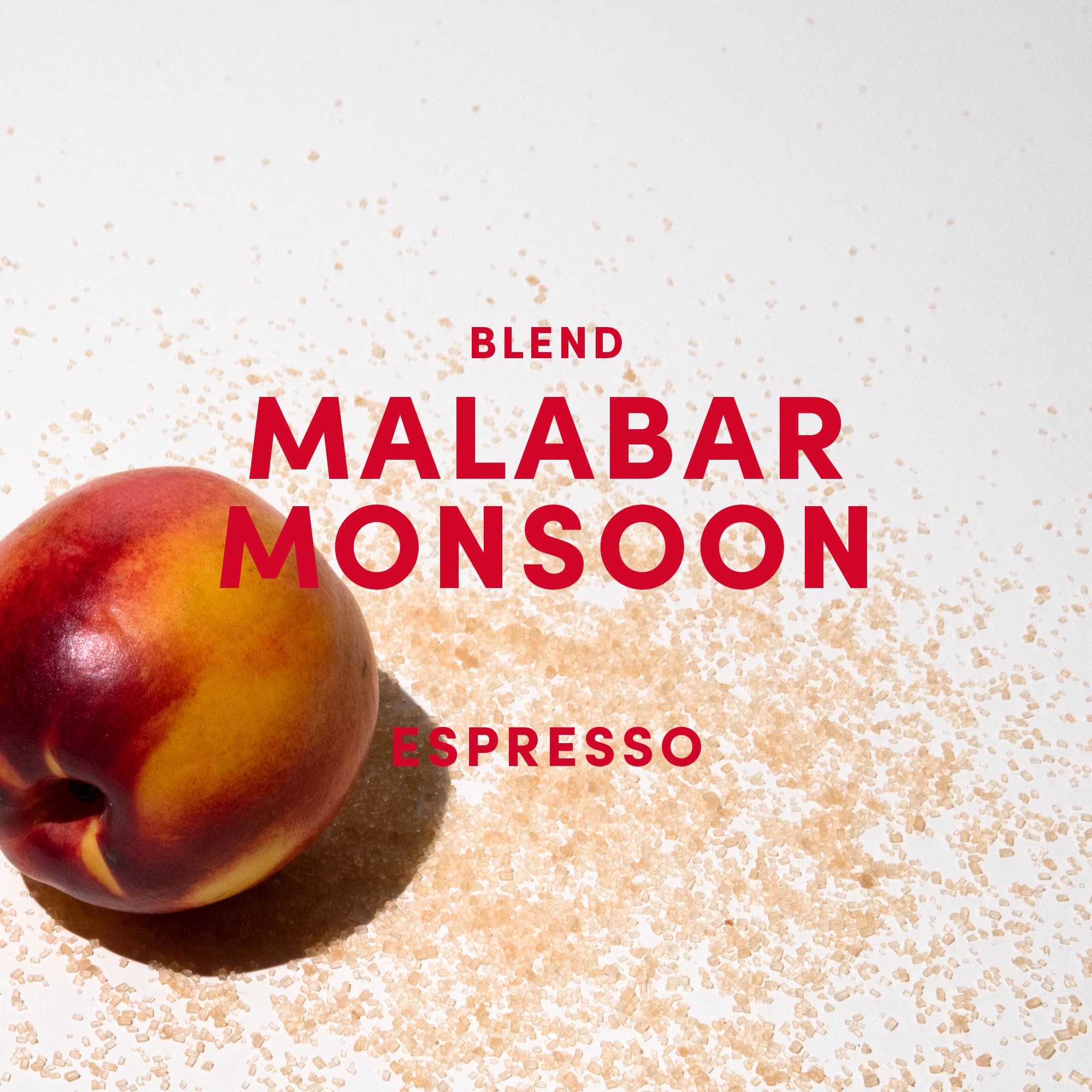 Andraschko Malabar Monsoon Espresso Blend - 100 % Arabica aus Indien, Brasilien & Guatemala - säurearm & ausgewogen mit Nektarine, Honig & Haselnuss - ganze Bohnen, medium dark roast - 1kg
