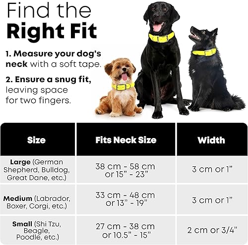 Miniatura 17 de Regal Dog Products Collar de perro reflectante naranja grande con placa de nombre grabada personalizada y anillo central resistente Collares