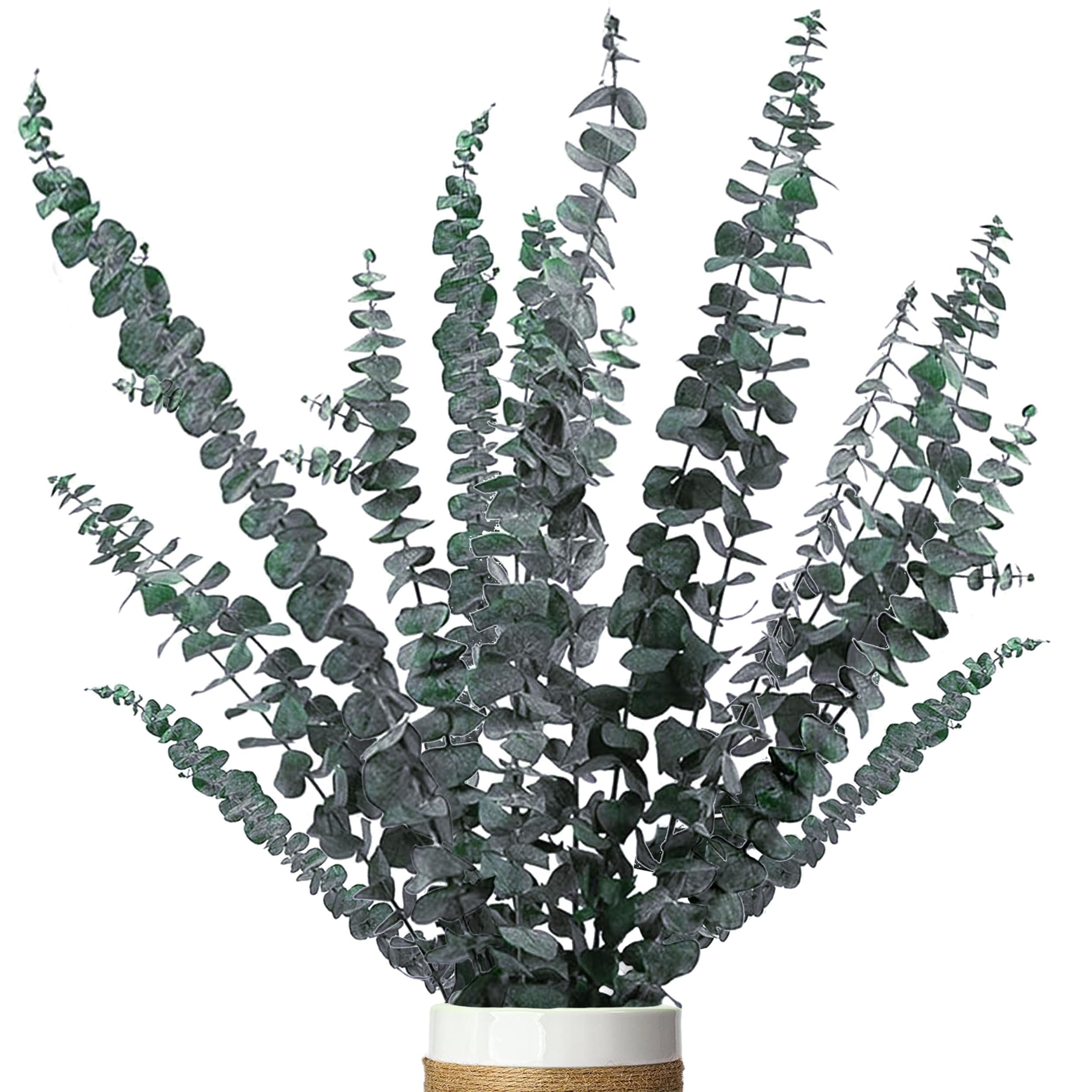 ZJTAPE Dried Eucalyptus, 18 Pcs Natural Dried Flowers, Real Eucalyptus Everlasting Dried Flowers