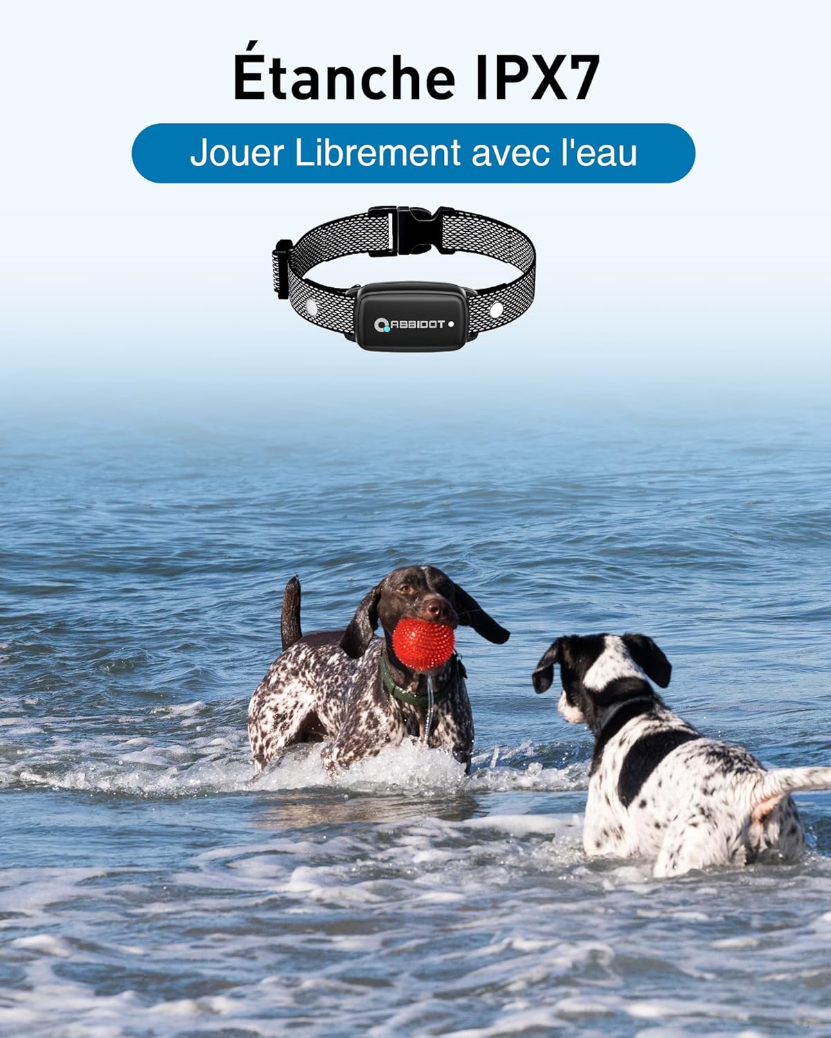 Fonctionnalités avancées du collier ABBIDOT