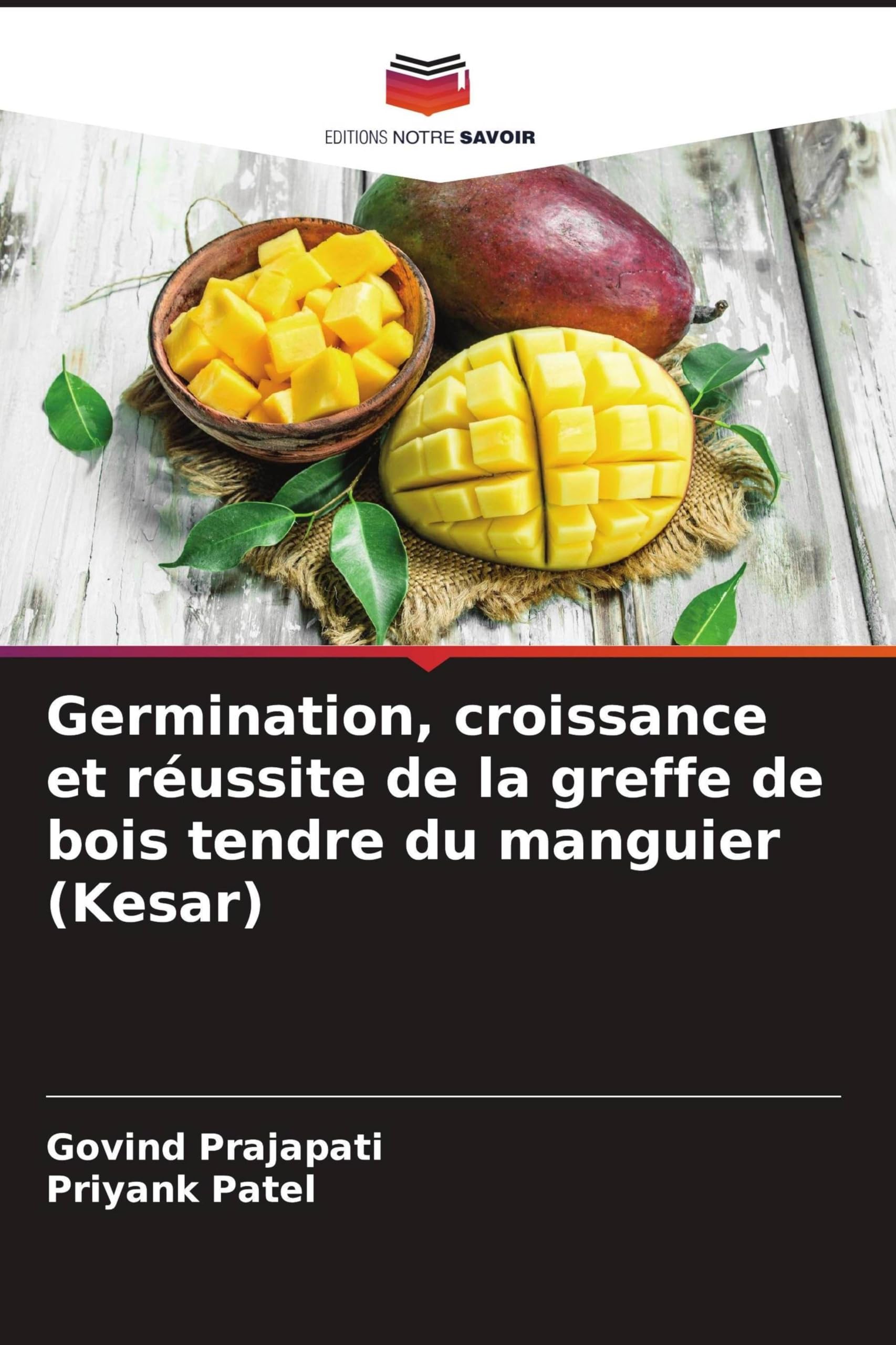 Germination, croissance et réussite de la greffe de bois tendre du manguier (Kesar)