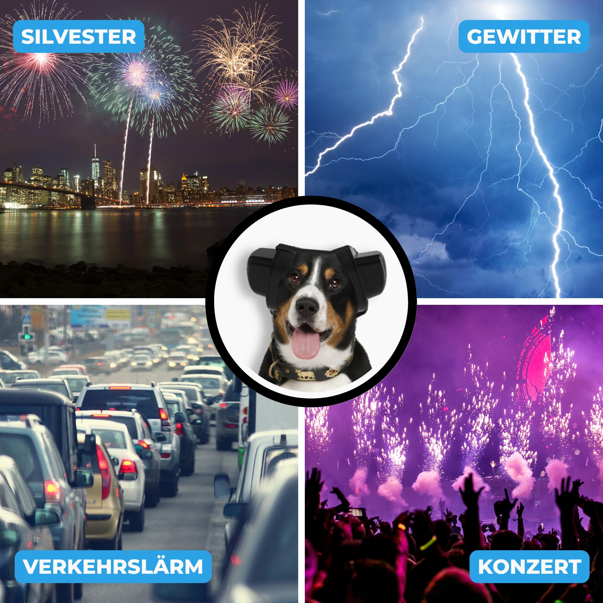 BOLLSEN Dog+ Gehörschutz für Hunde | Verstellbarer Ohrenschutz & Lärmschutz für alle Hunderassen, reduziert Geräusche um ca. 27 dB – ideal bei Silvester, Gewitter & Arbeit (M)