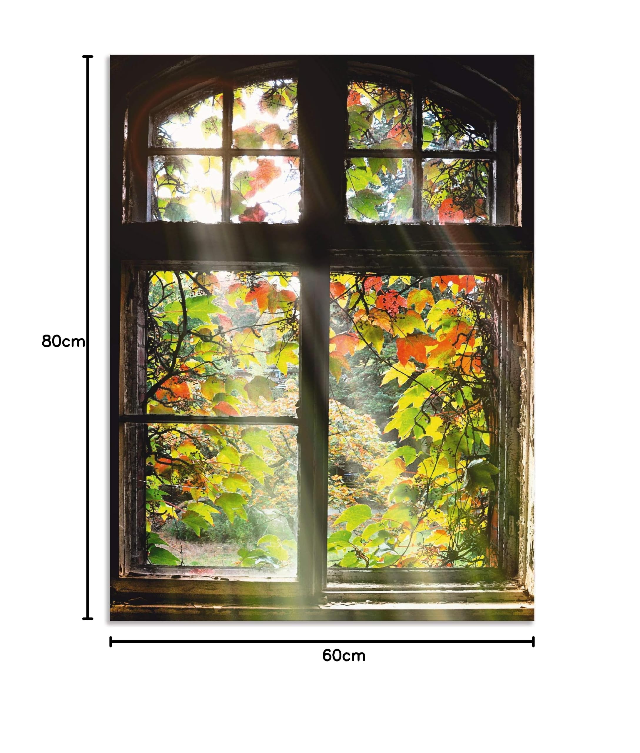 ARTland Wanddeko Wandbild Alu Verbundplatte für Innen & Outdoor Bild 60x80 cm Fensterblick Fenster Herbst Natur Landschaft Altbau Sonne Baum T5XH