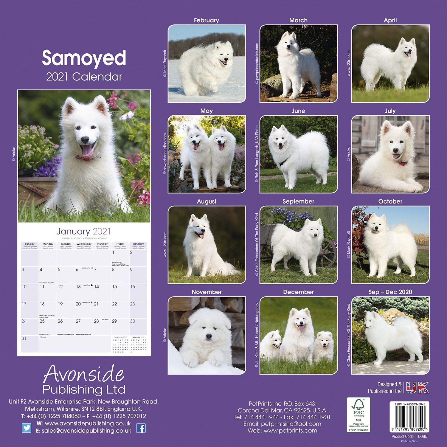 Samoyed Calendar Dog Breed Calendars 2020 2021 Wall Calendars 16