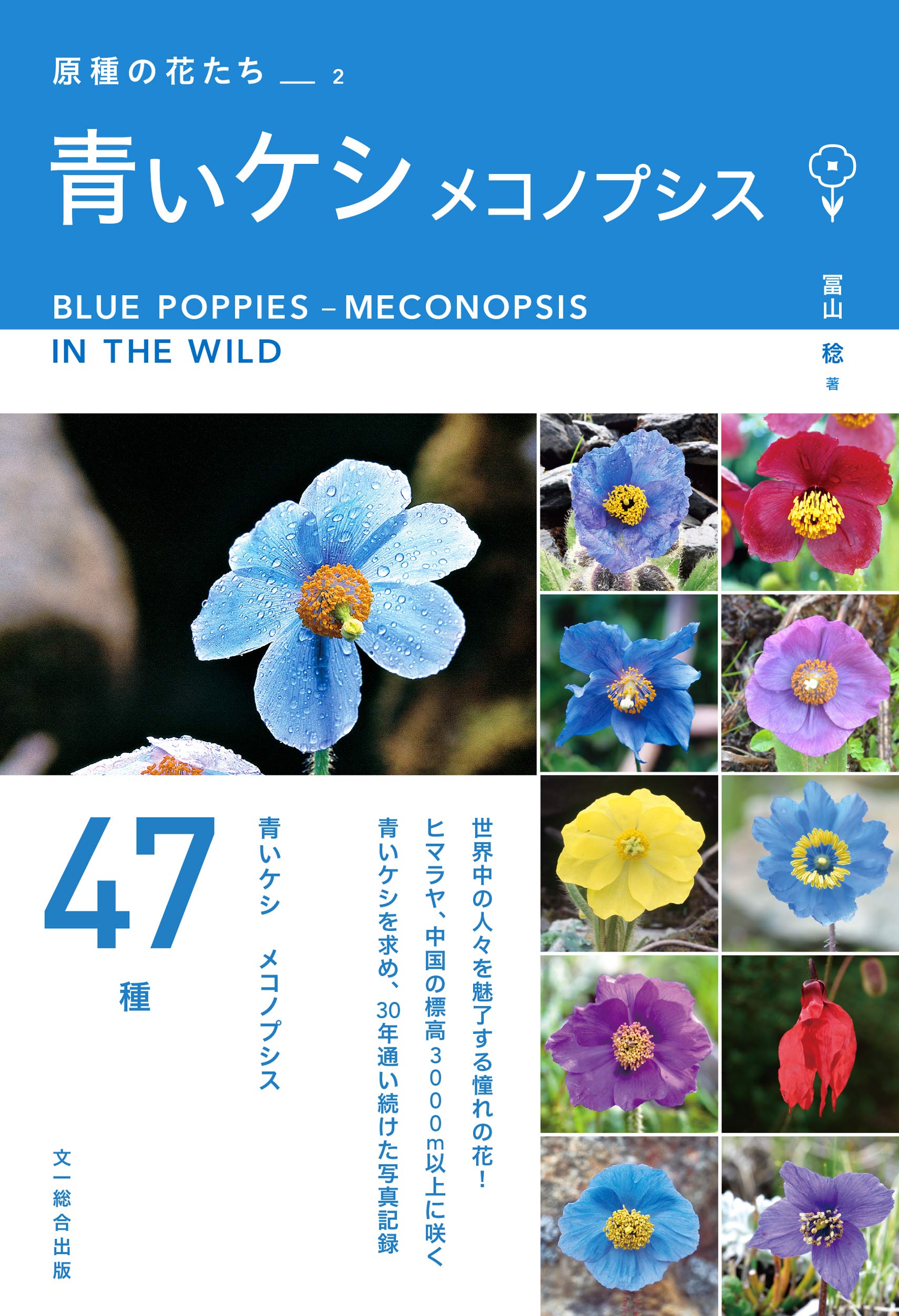 青いケシ メコノプシス (原種の花たち2) | 冨山 稔 |本 | 通販 | Amazon