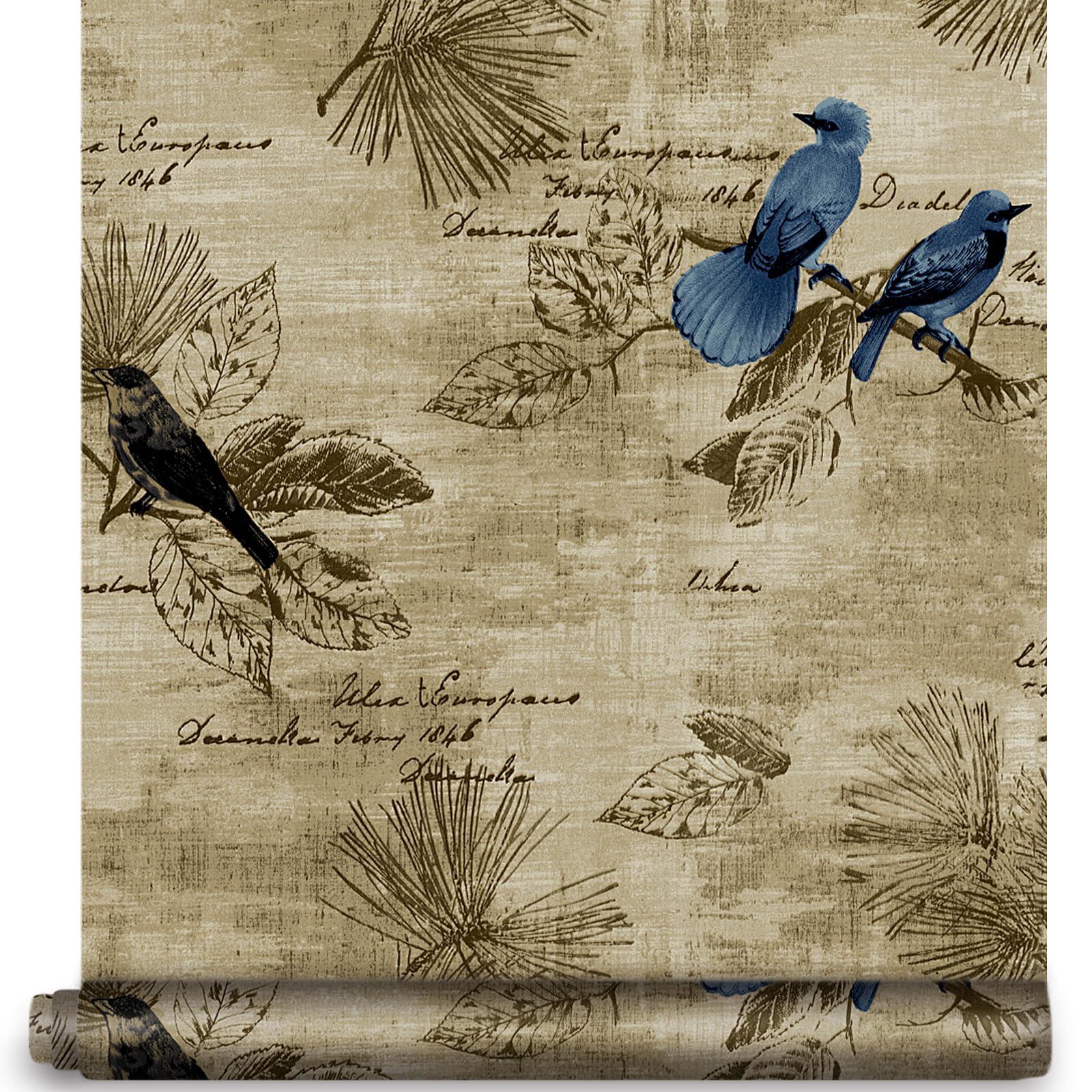 YIFU LIFE Bird Wallpaper Vintage Removable Self Adhesive Peel and Stick Drawer Liner Printed Contact Paper Bedroom Cabinet Countertop Decor 17.7" X