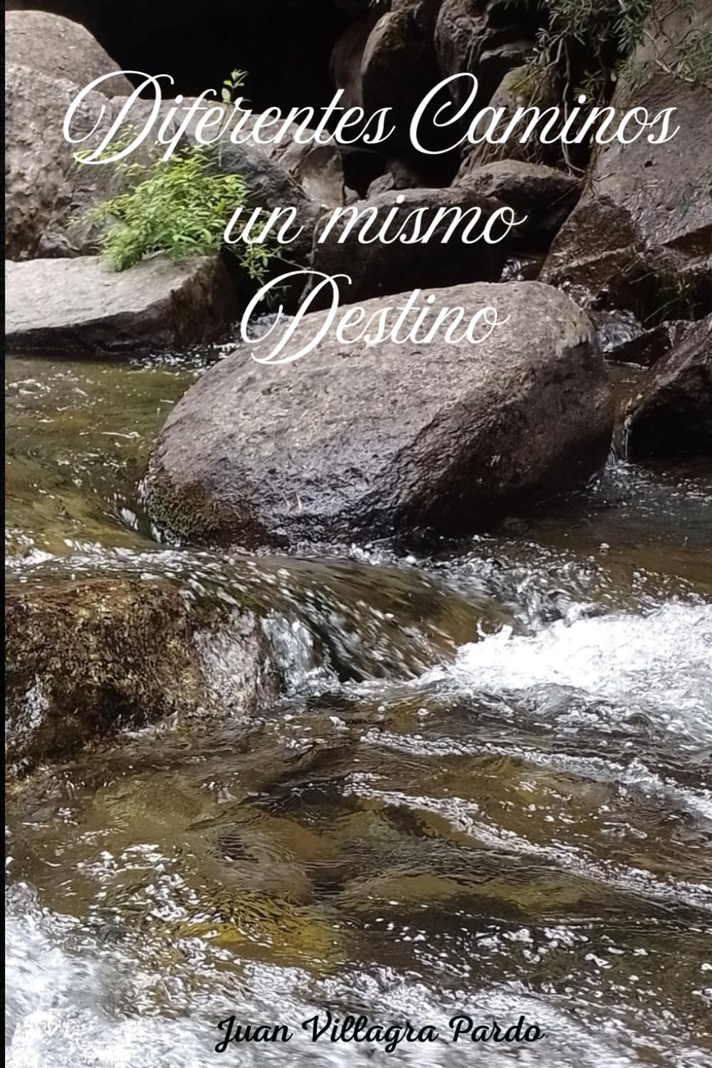 Diferentes Caminos un mismo destino: 1