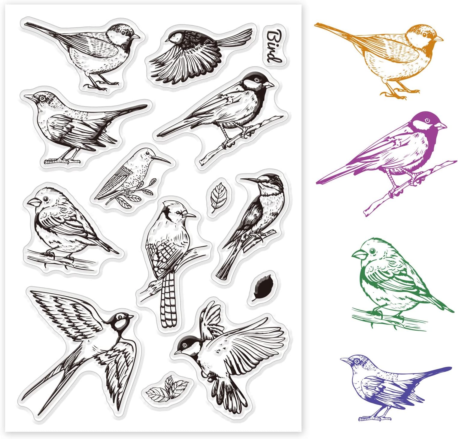 ORIGACH Realistic Birds Clear Stamps TPR Transparent Stamps with Acrylic Stamping Block for Card Making Decoration and DIY Scrapbooking