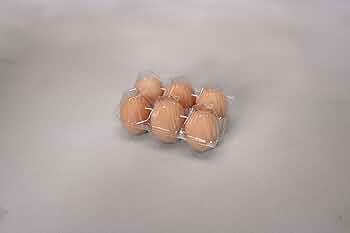 タマゴ bibas55092_4.jpg