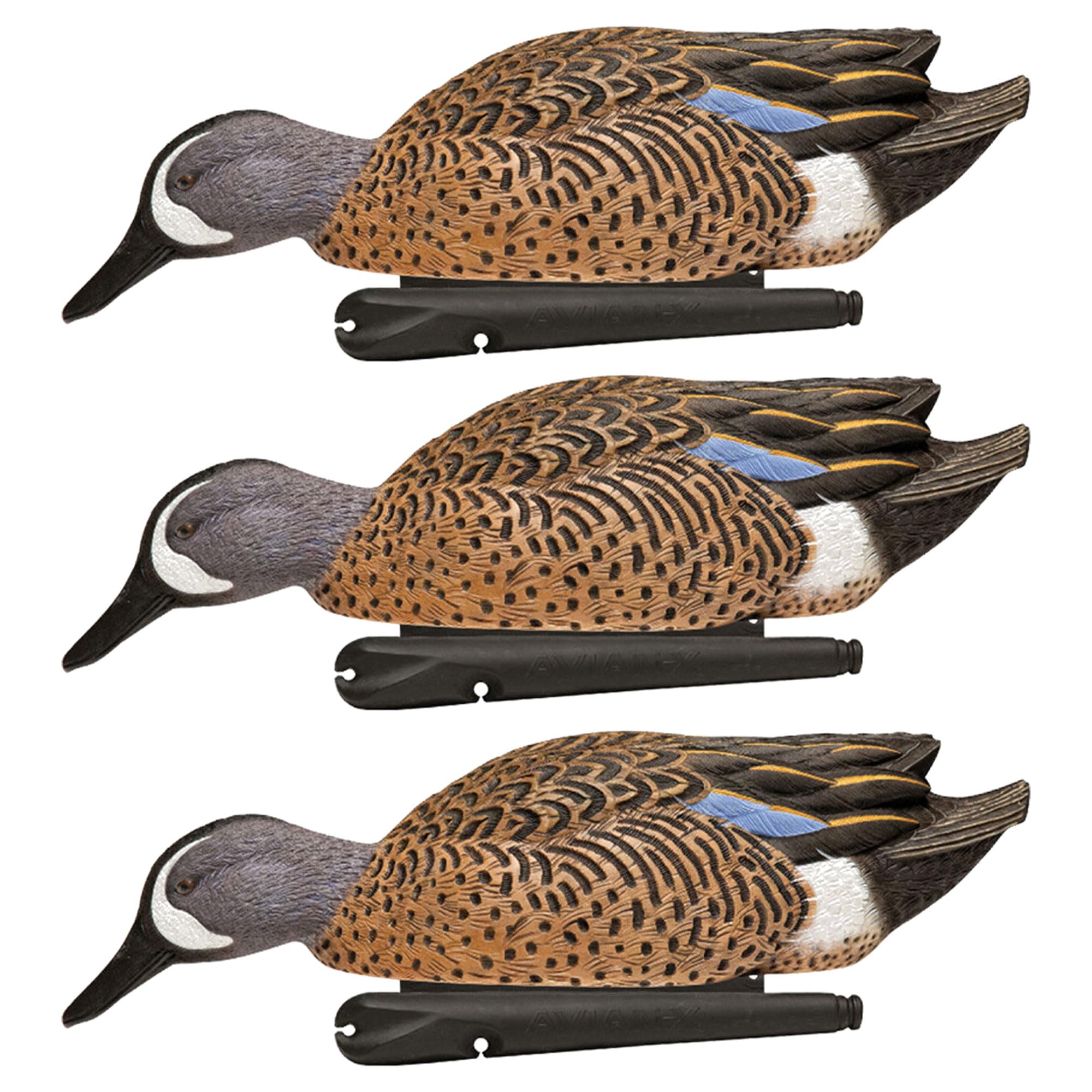 Rugged Series Blue-Winged Teal Decoys main image 1