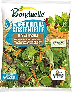 Bonduelle Mix Allegria 125g