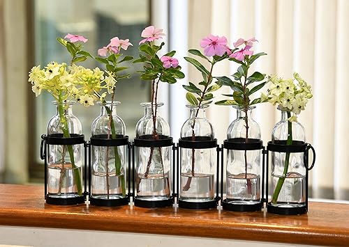 Jarrón de terrario con bisagras de metal, 6 botellas, negro mate y vidrio transparente