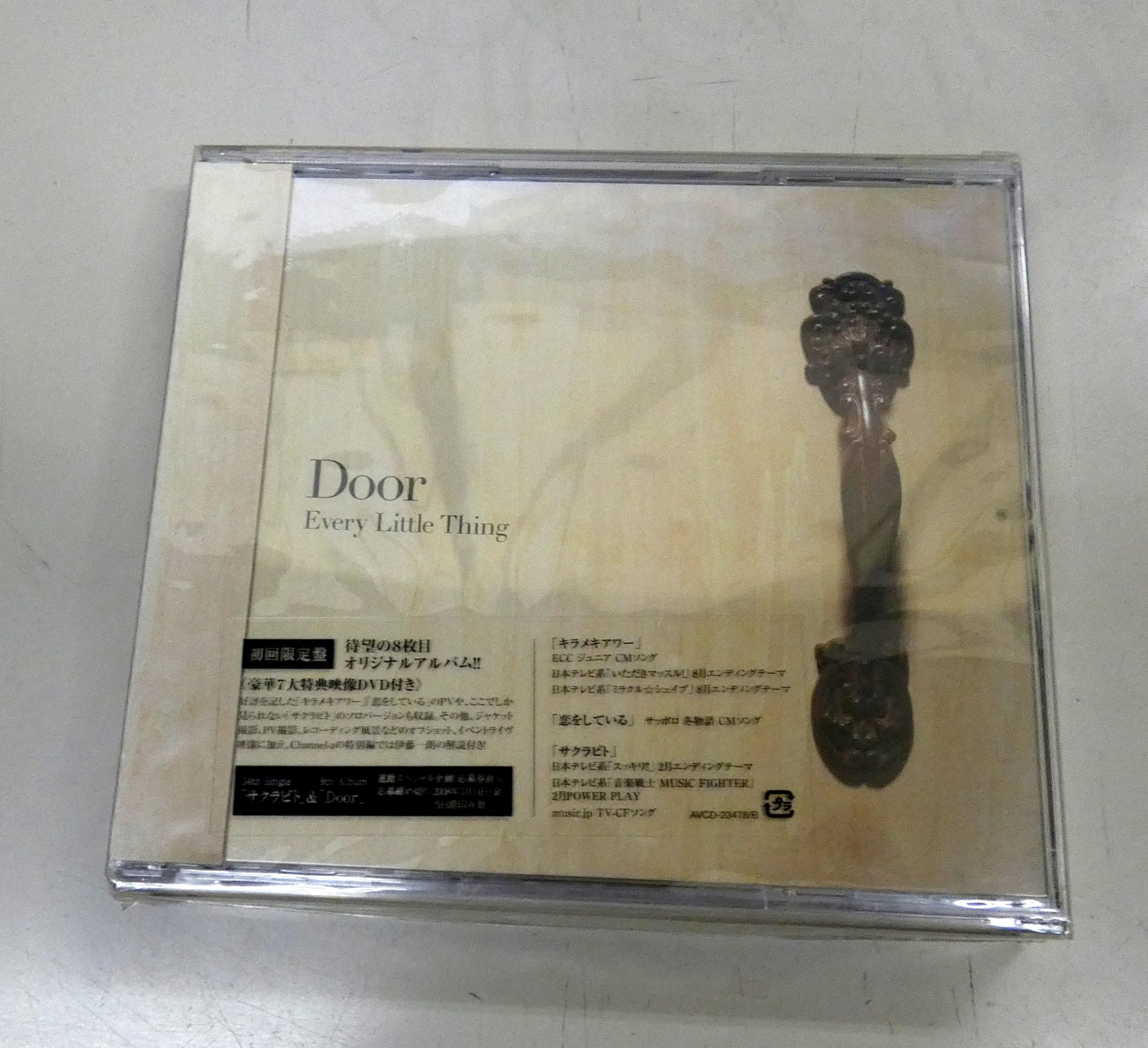 Every Little Thing – Door