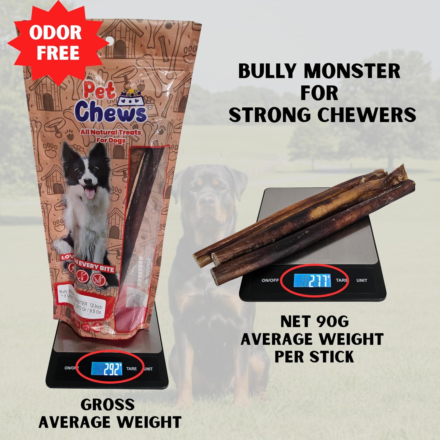 12 Inch Monster Bully Sticks (3-Pack, 90g Each) Ultra Thick | 100% Natural Grass-Fed Beef Dog Chews, Odor-Free | Long Lasting Treats for Large Dogs & Extreme Aggressive Chewers | High Protein