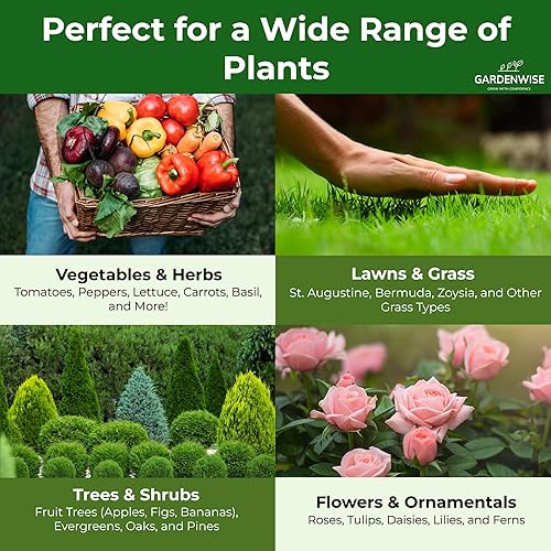 Miniatura 3 de 10-10-10 Fertilizante para plantas de liberación lenta - 10 10 10 Fertilizante granular multiusos para jardín, verduras, tomate, arborvitae,