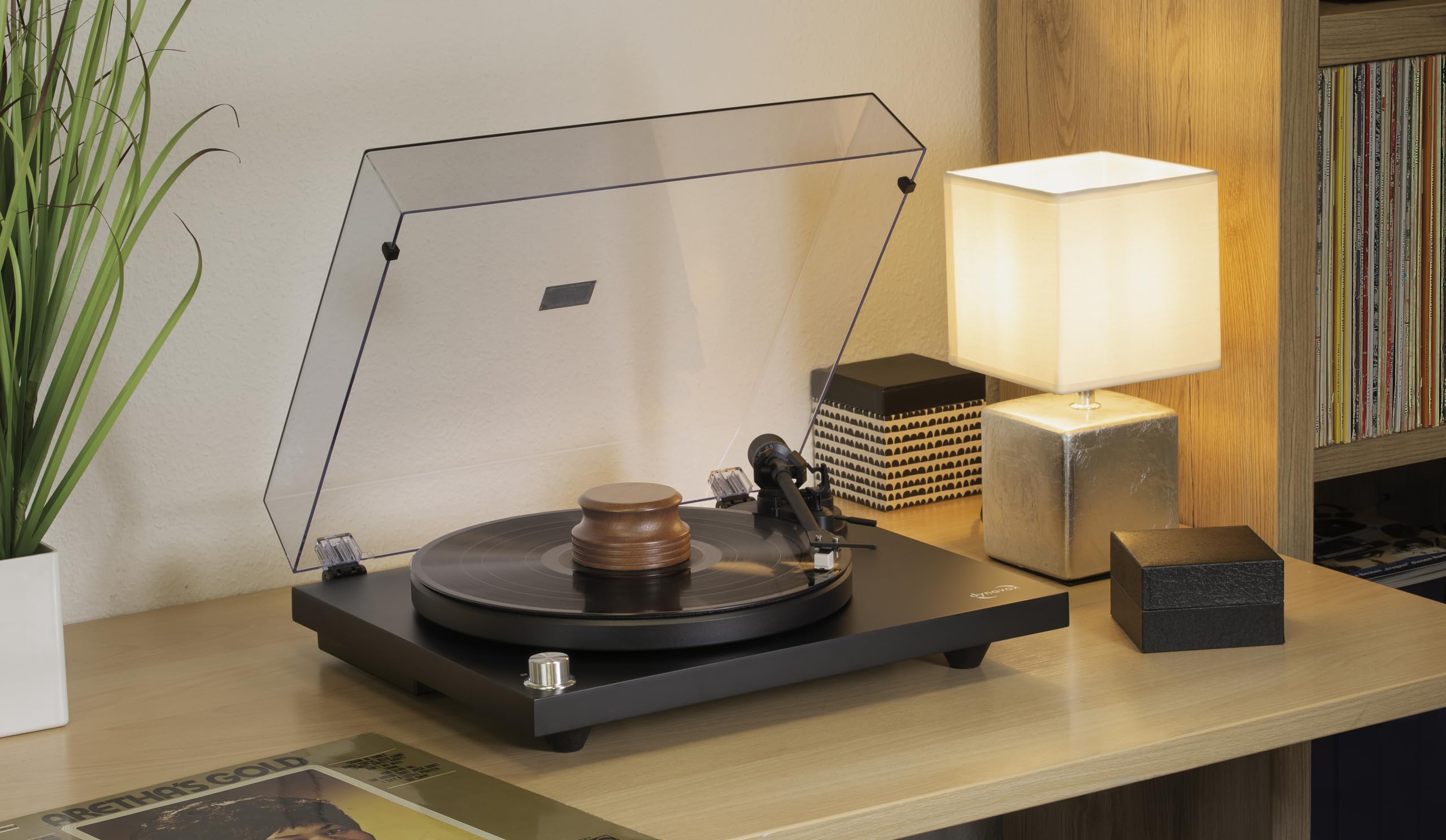 Dynavox PST-300W Stabilisateur pour Platine Vinyle avec boîtier en Bois Sapelli 300 g