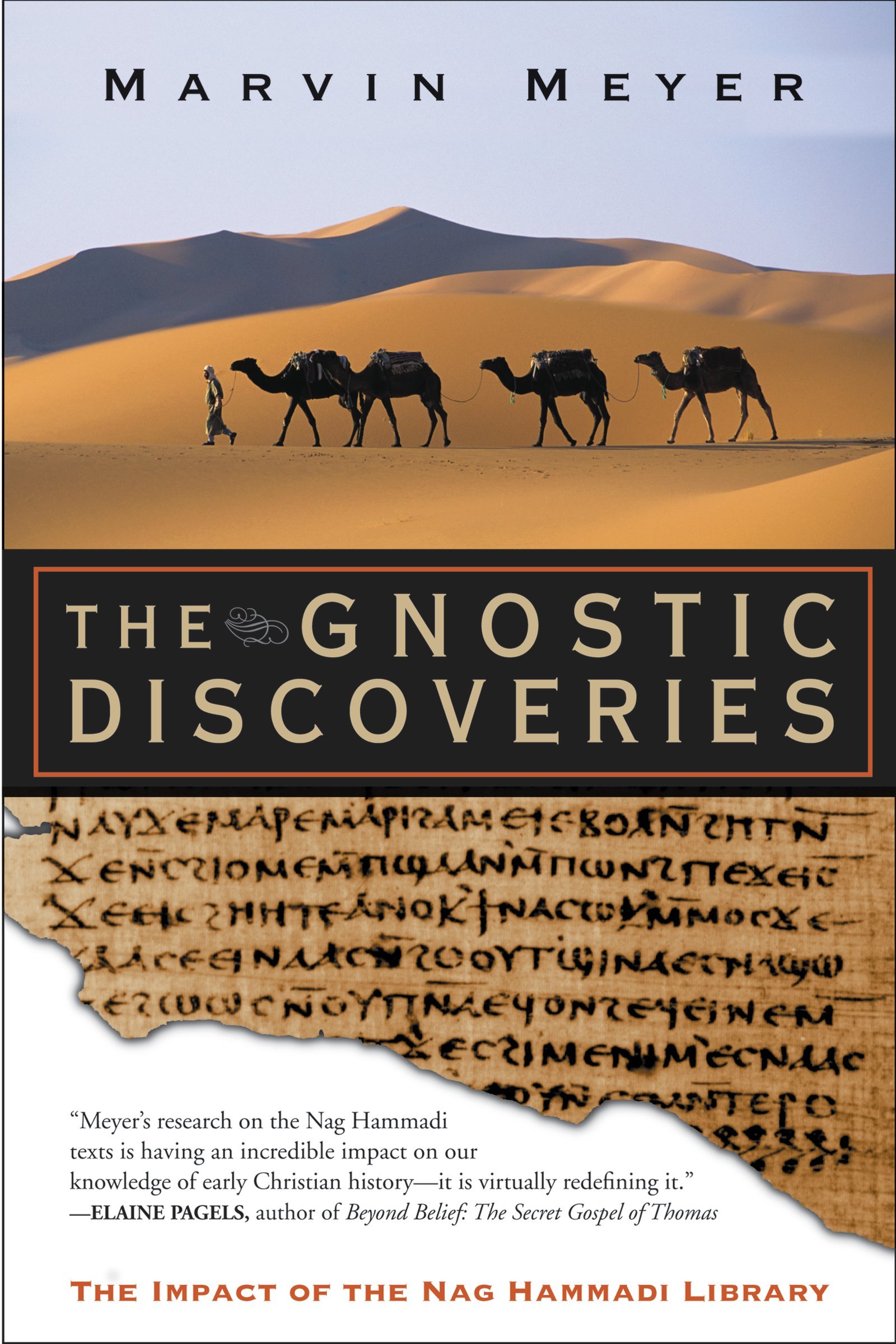 Marvin W. Meyer | Buch | The Gnostic Discoveries: The Impact of the Nag Hammadi Library
