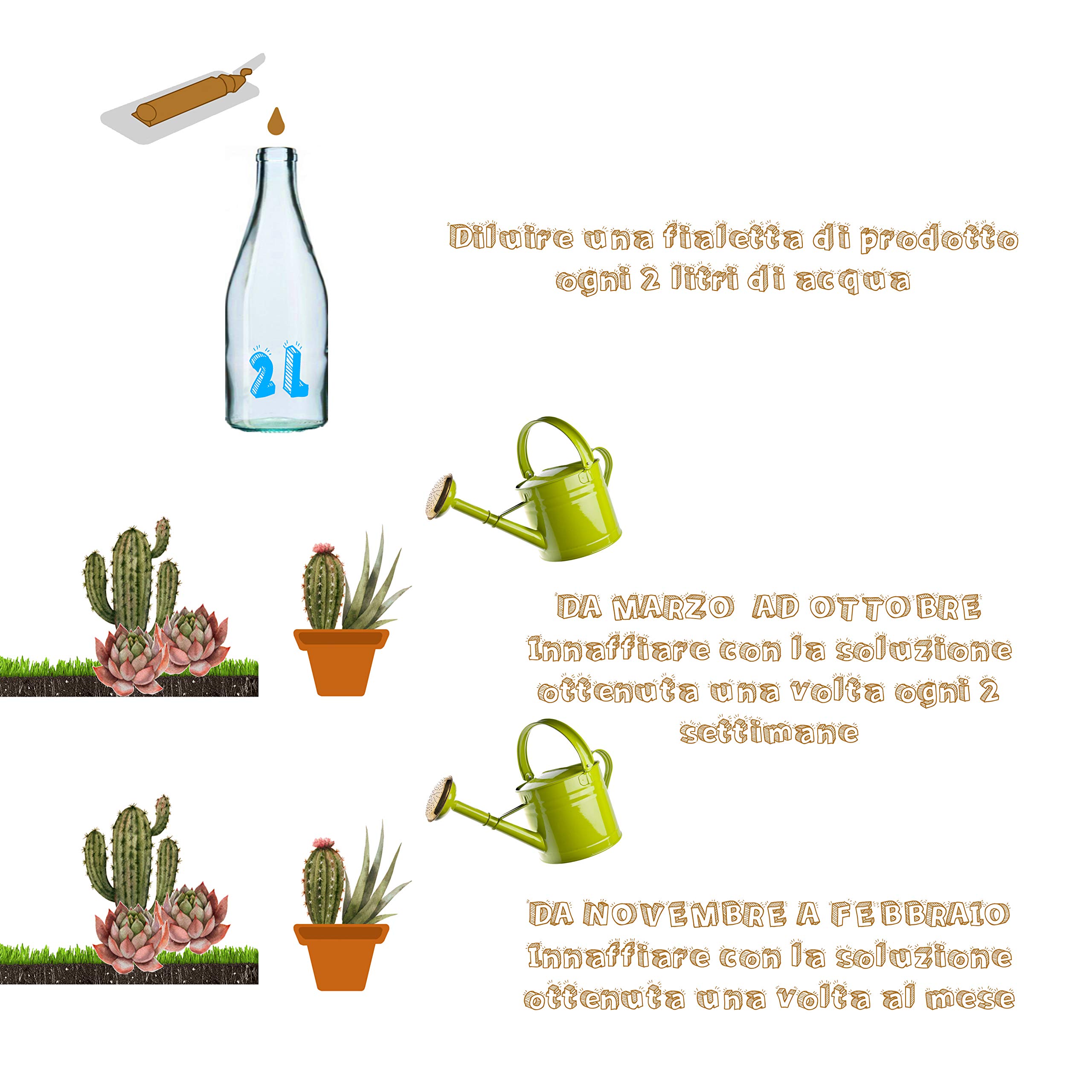 Succulents - Concime Biologico per Piante Grasse - Kit salvaspazio per piante grasse