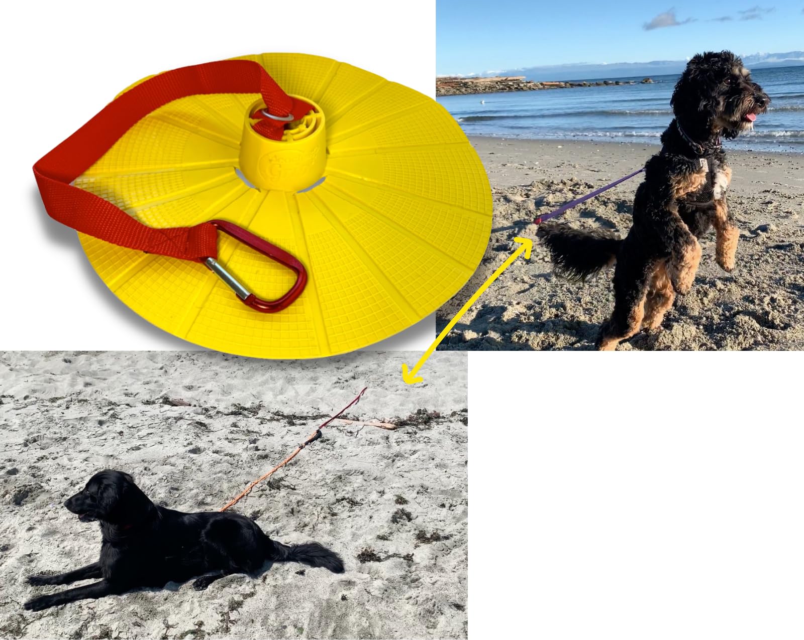 BeachGrip Ancoraggio per cani da spiaggia, progettato per funzionare nella sabbia, piccolo, leggero, facile da usare e durevole, l'accessorio per portare il vostro amico a quattro zampe in spiaggia