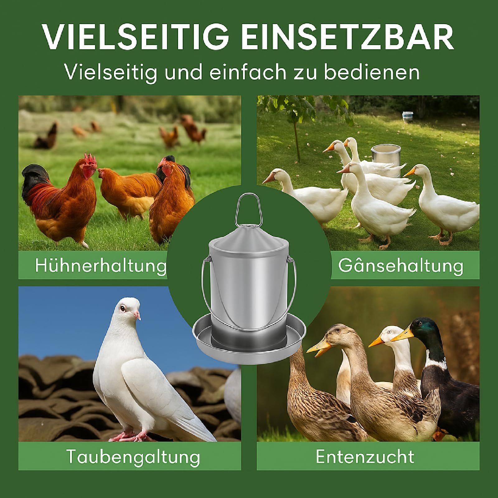 Abreuvoir de Poulet 3 L, Acier Inoxydable 304, sans BPA, Distributeur d'eau pour volaille