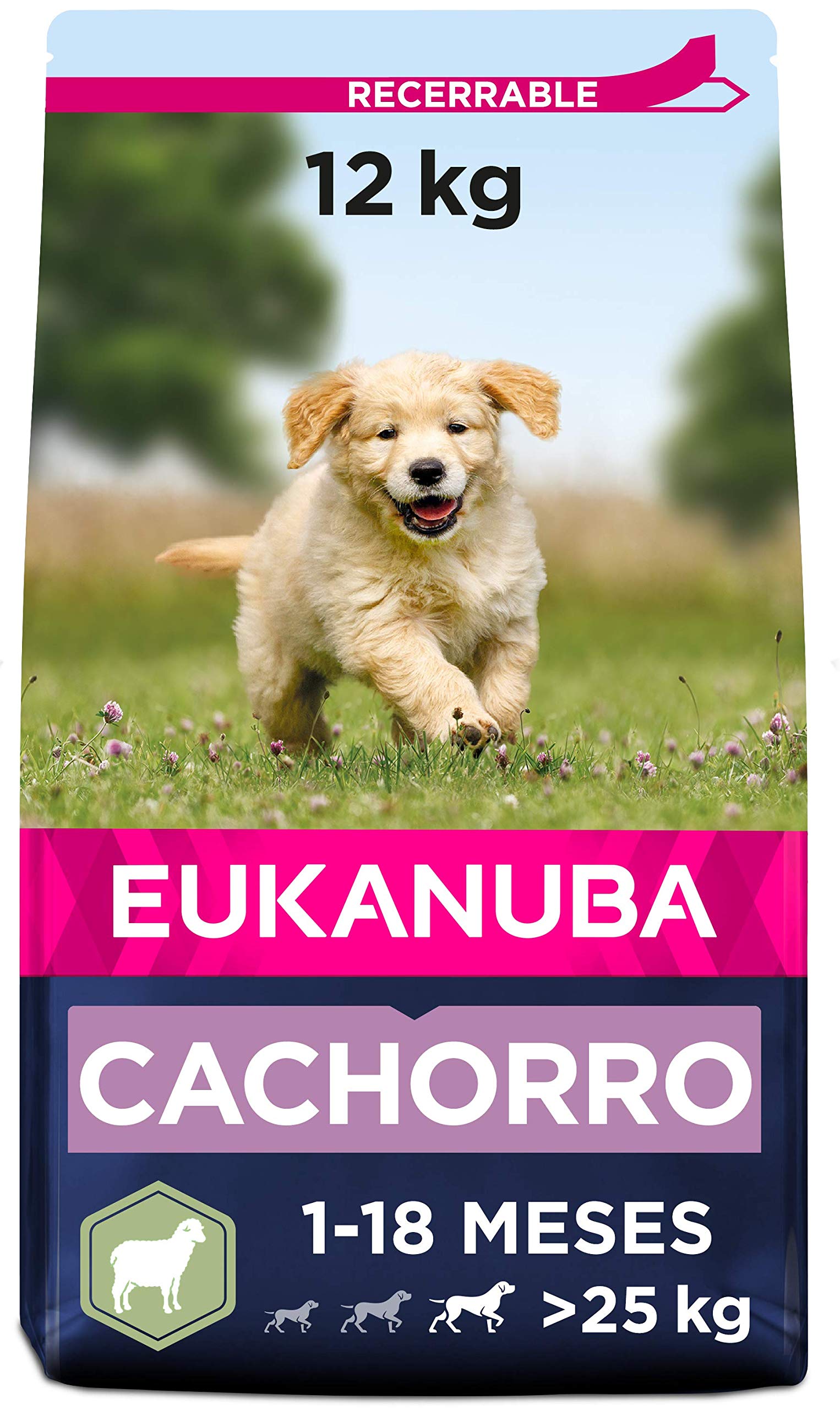 Eukanuba Alimento seco para cachorros en crecimiento de razas grandes, rico en cordero y arroz, 12 kg