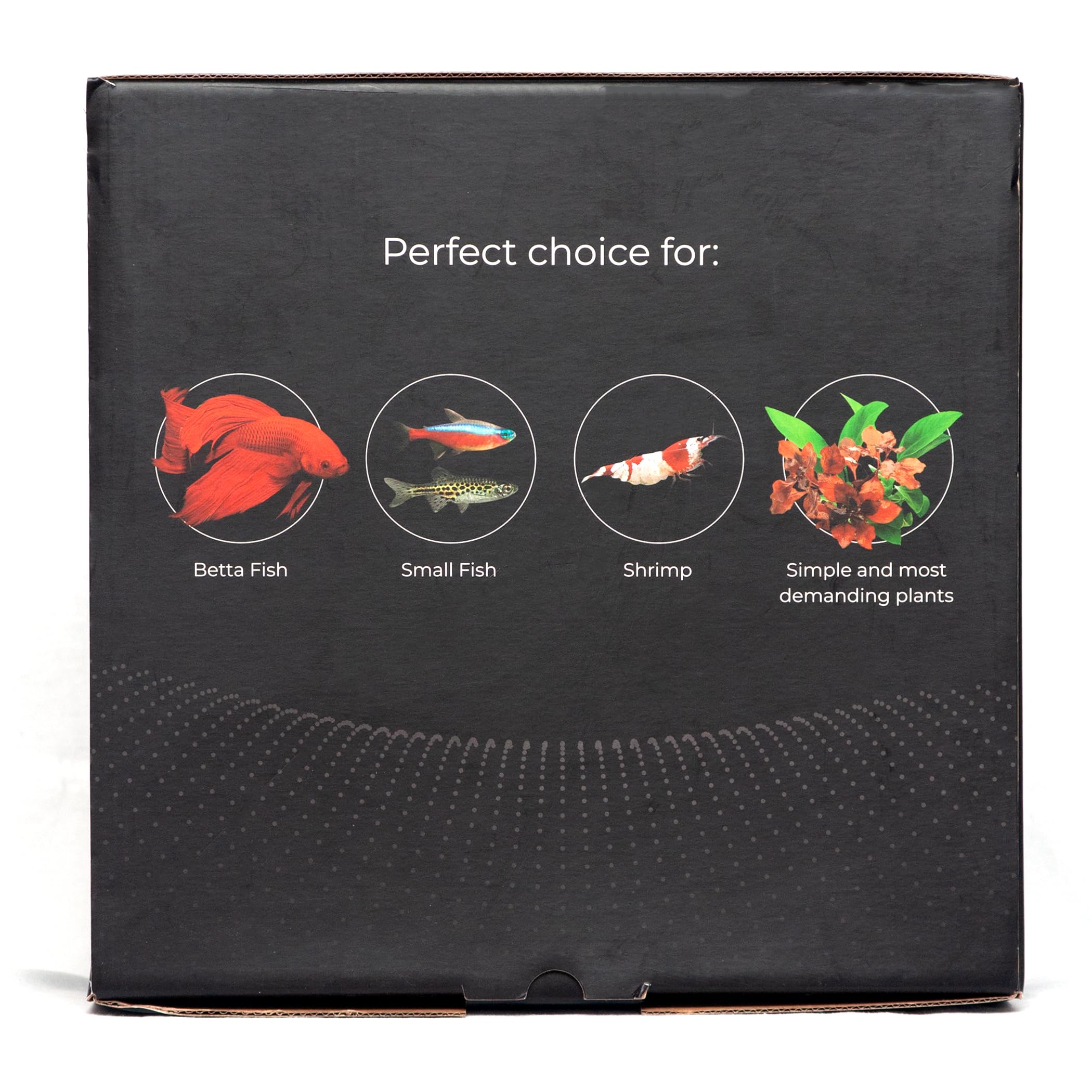 Nano-Aquarium Black Cube 20 L mit LED-Beleuchtung, Abdeckscheibe und Unterlegmatte für Garnelen, Krebse und kleine Fische