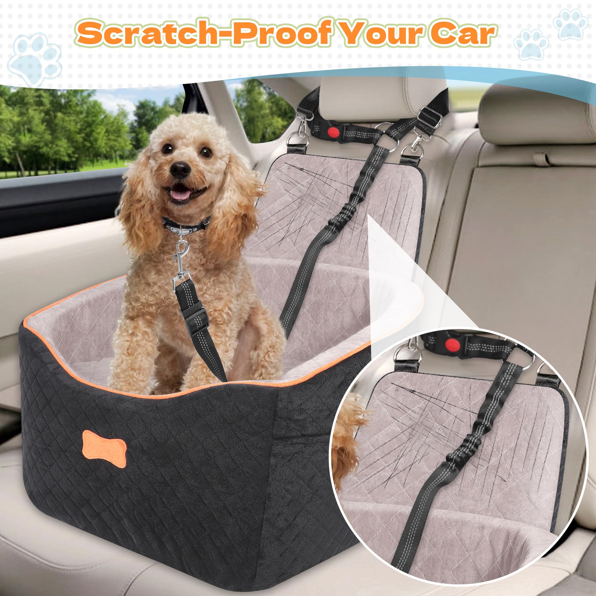 COCASES Asientos de coche para perros pequeños y medianos, cama desmontable y lavable con cinturón de seguridad para mascotas de menos de 35 libras en coche