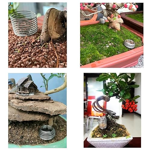 Miniatura 6 de Paquete de 10 cestas de fertilizantes para bonsái, contenedores de acero inoxidable para plantación de nutrientes, dispensador de riego de alimentos