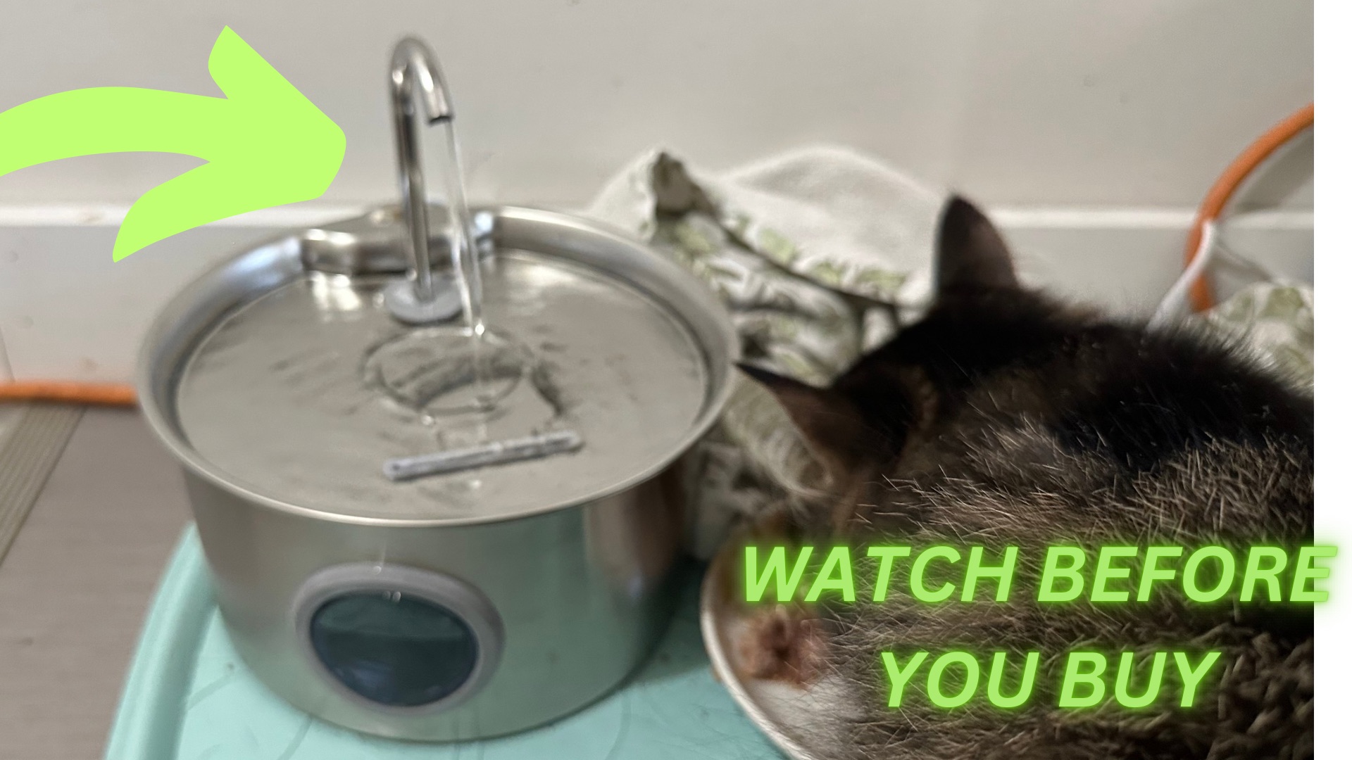 Watch Watch before you buy on Amazon Live