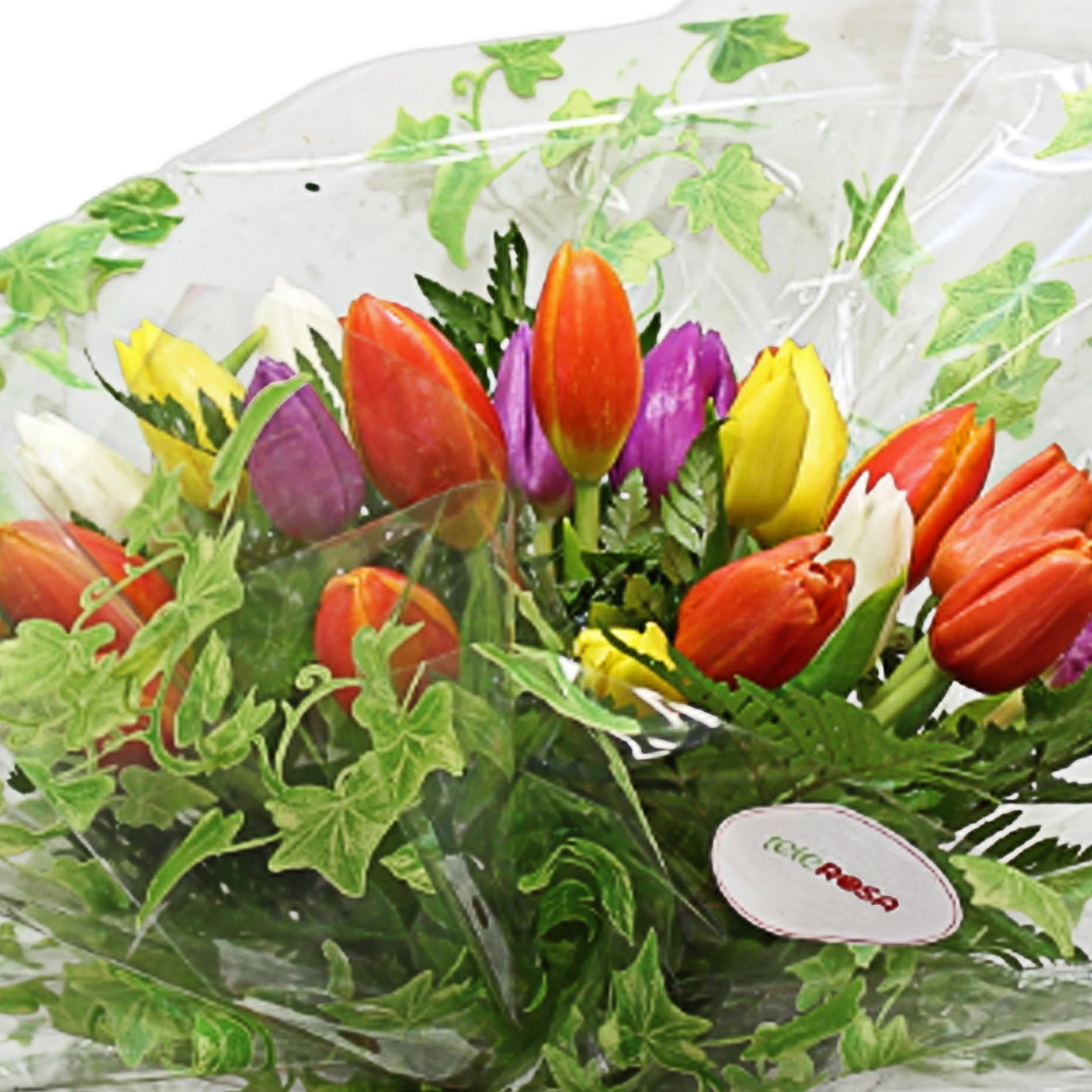 teleROSA Ramo 25 Tulipanes naturales - Flores naturales a domicilio – Tú decides la fecha y el horario de entrega de lunes a sábado - Incluye tarjeta dedicatoria Multicolor