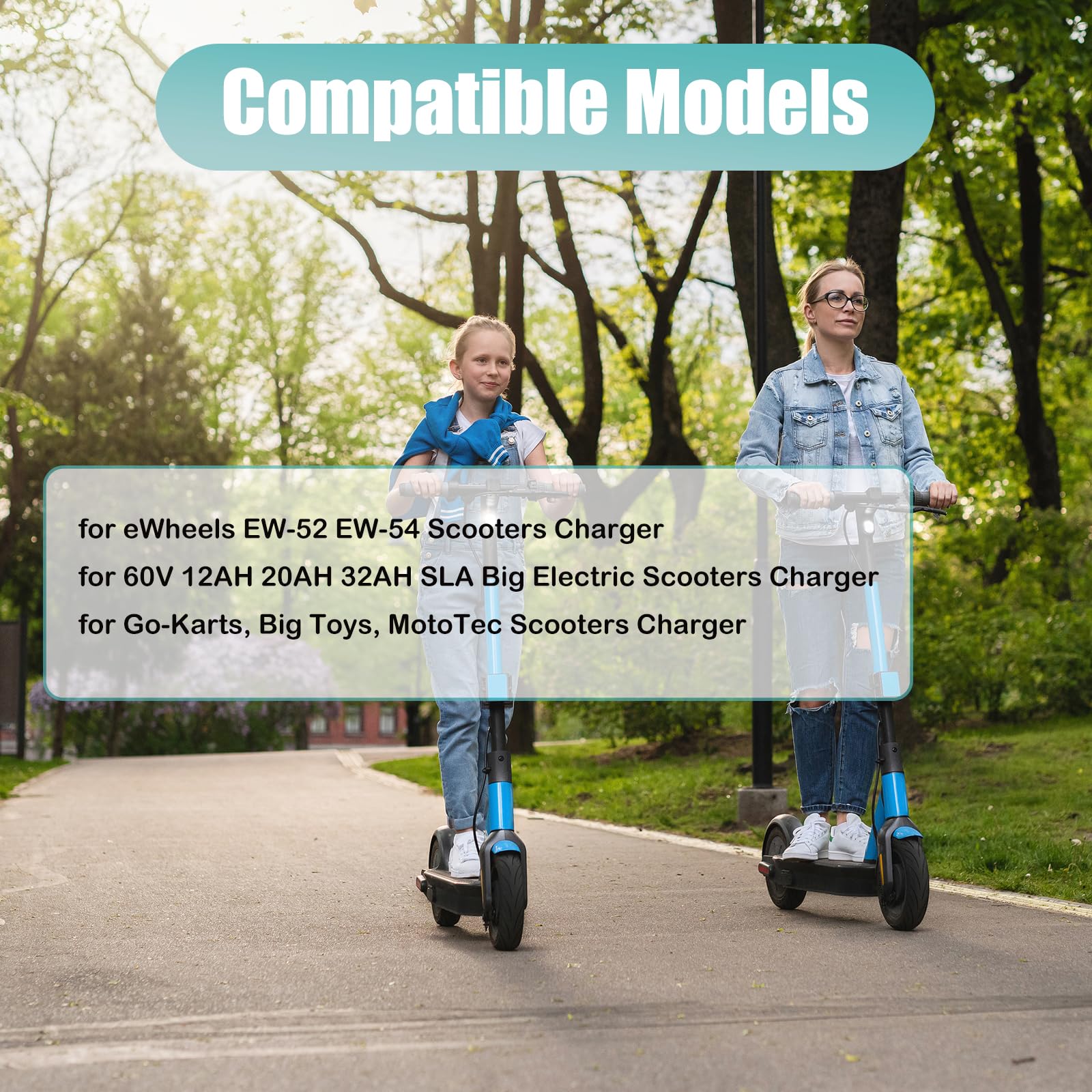 60 Volt 3.0 Ampere Schnell-Ladegerät 3-Pin Blei-Säure-Batterie-Ladegerät für 60V 20AH 32AH AGM Gel SLA Big Electric Scooters & E-Bikes, eWheels EW-52 EW-54, Go-Karts, Big Toys, MotoTec 3A Fas