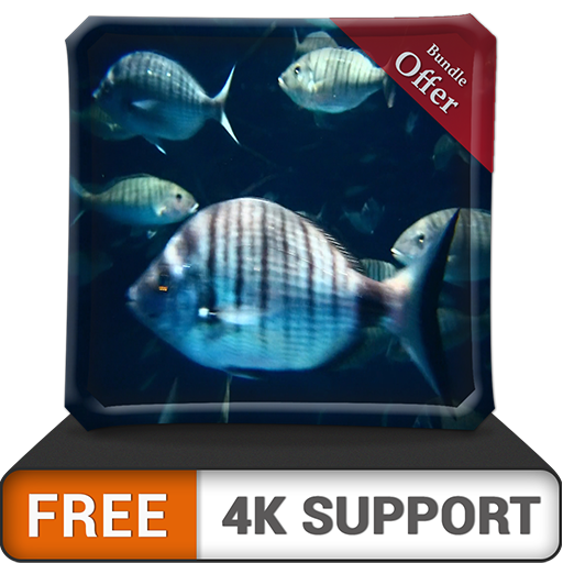 free rush aquarium HD - foule de gros poissons dans l'aquarium sur votre téléviseur HDR 4K, téléviseur 8K et appareils d'incendie comme fond d'écran, décoration pour les vacances de Noël, thème pour l