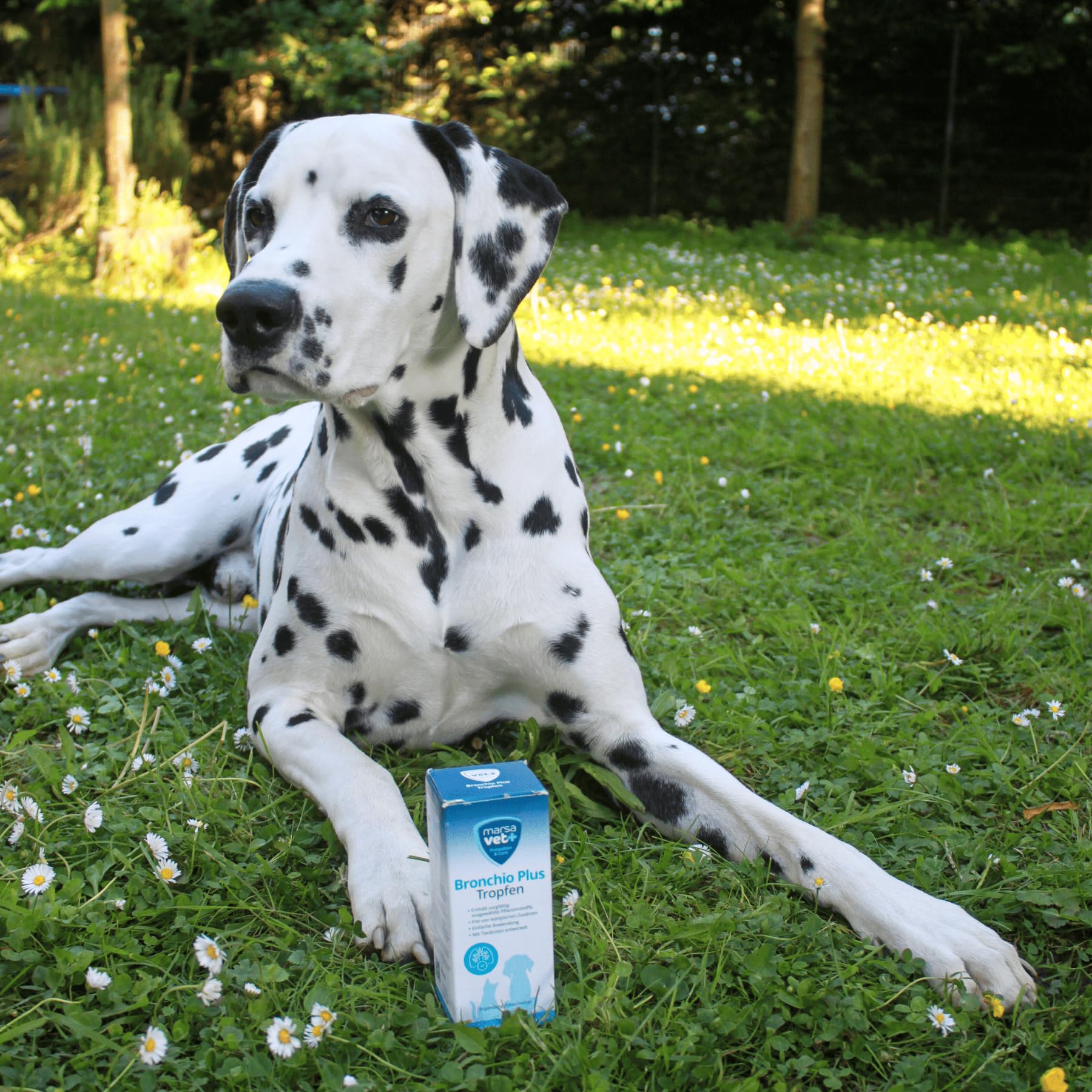 Marsavet Bronchio Plus – Flüssiges Ergänzungsfuttermittel mit pflanzlichen Inhaltsstoffen zur Unterstützung der normalen Atemwegsfunktion - für Hunde, Katzen, Nager und Vögel | 100 ml