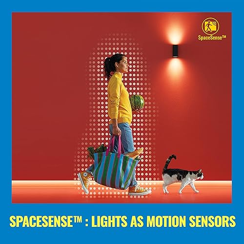 Miniatura 4 de WiZ Clear 60W G25 - Bombilla inteligente LED de filamento blanco sintonizable, paquete de 1, E26, para interiores, se conecta a tu Wi-Fi existente,