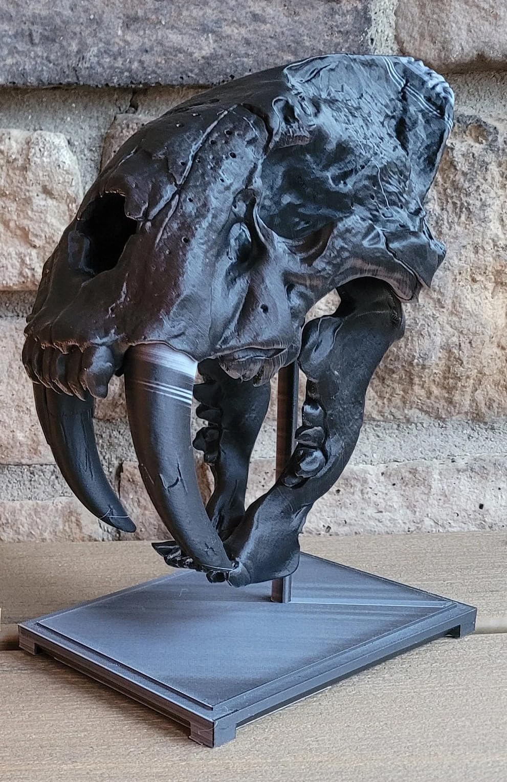 3D Printed Sabertooth Tiger Skull Replica, Large Animal Fossil