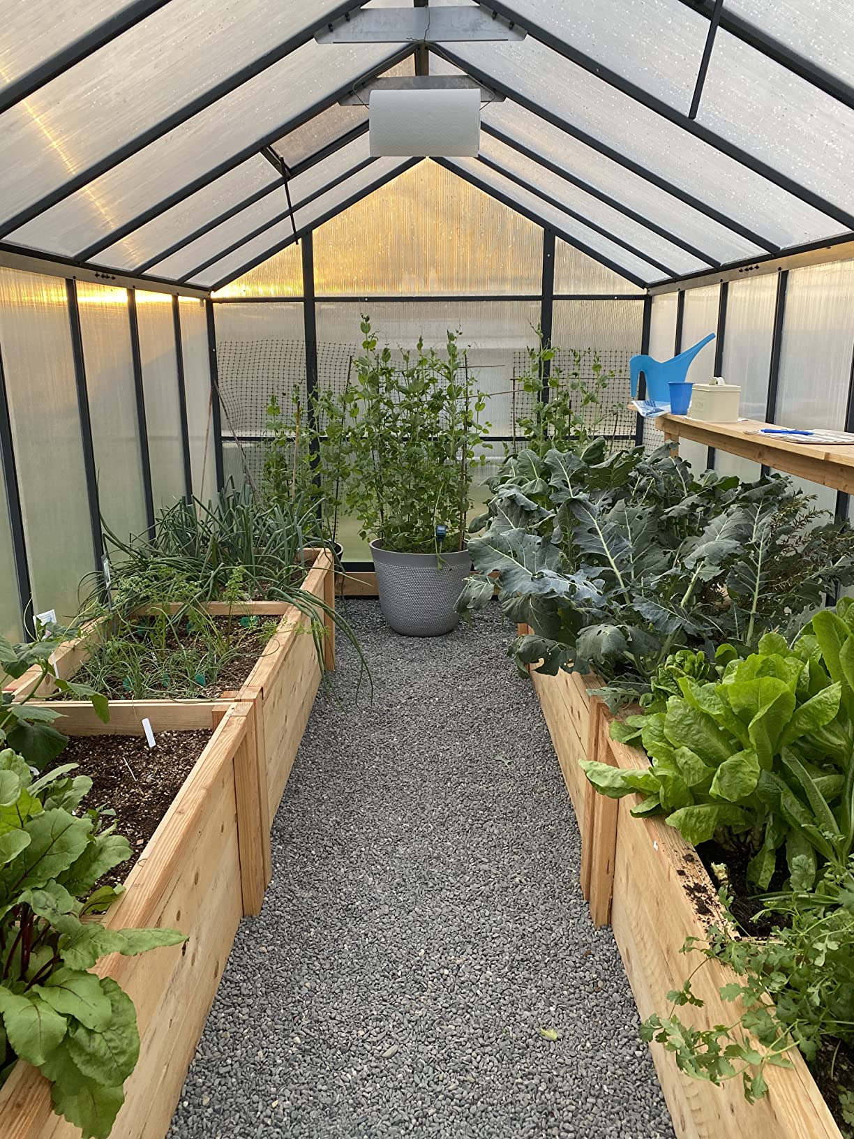 $16/mo - Finance VEIKOU Greenhouse for Outdoor Heavy Duty Polycarbonate ...